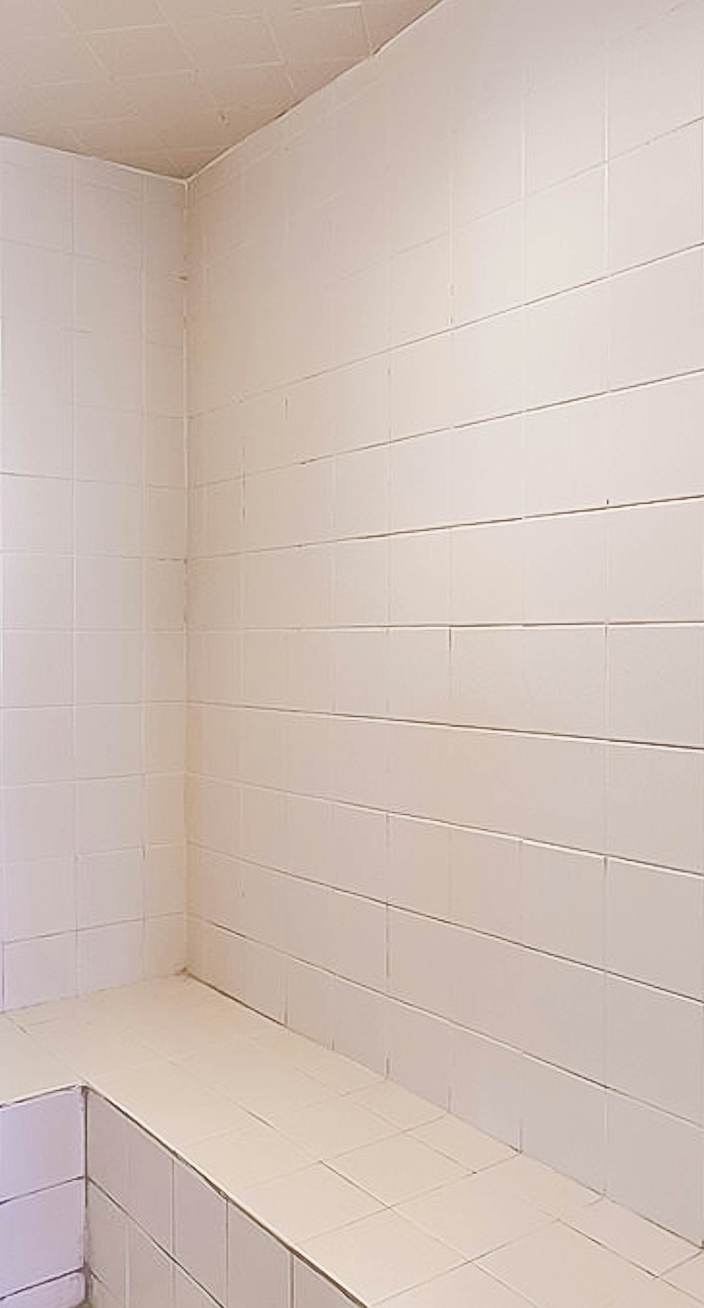 Unique dog-friendly Gulf-front condo with amazing views, pools, sauna, gym, & AC