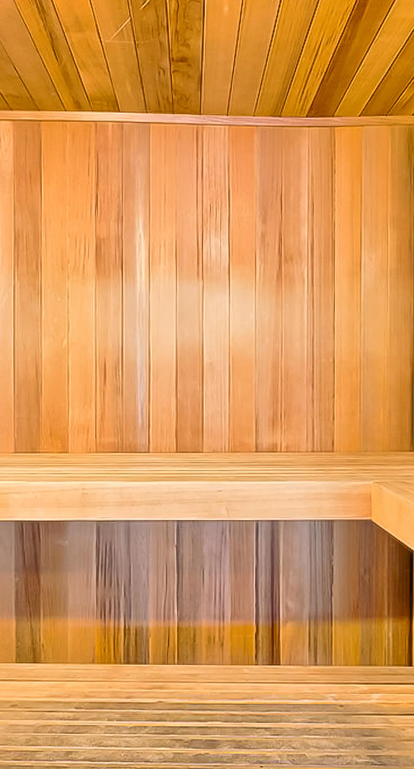 Unique dog-friendly Gulf-front condo with amazing views, pools, sauna, gym, & AC