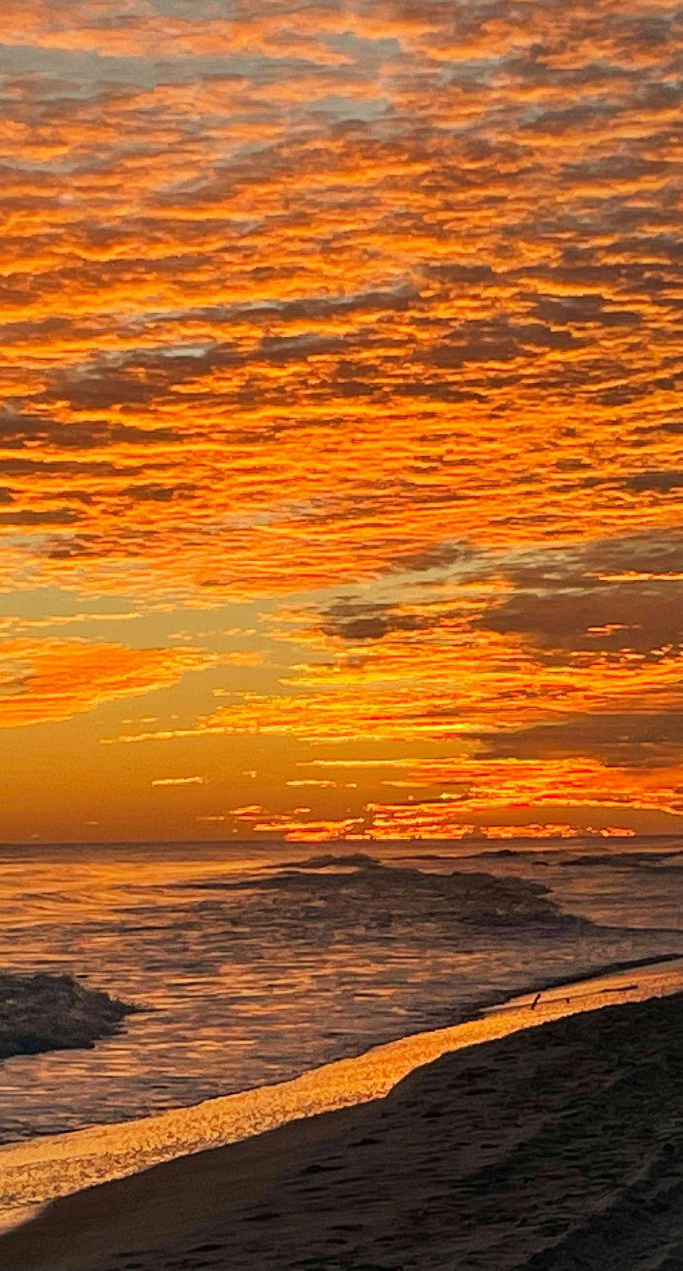 Beachfront condo with Gulf views, pool, washer,dryer, & central AC