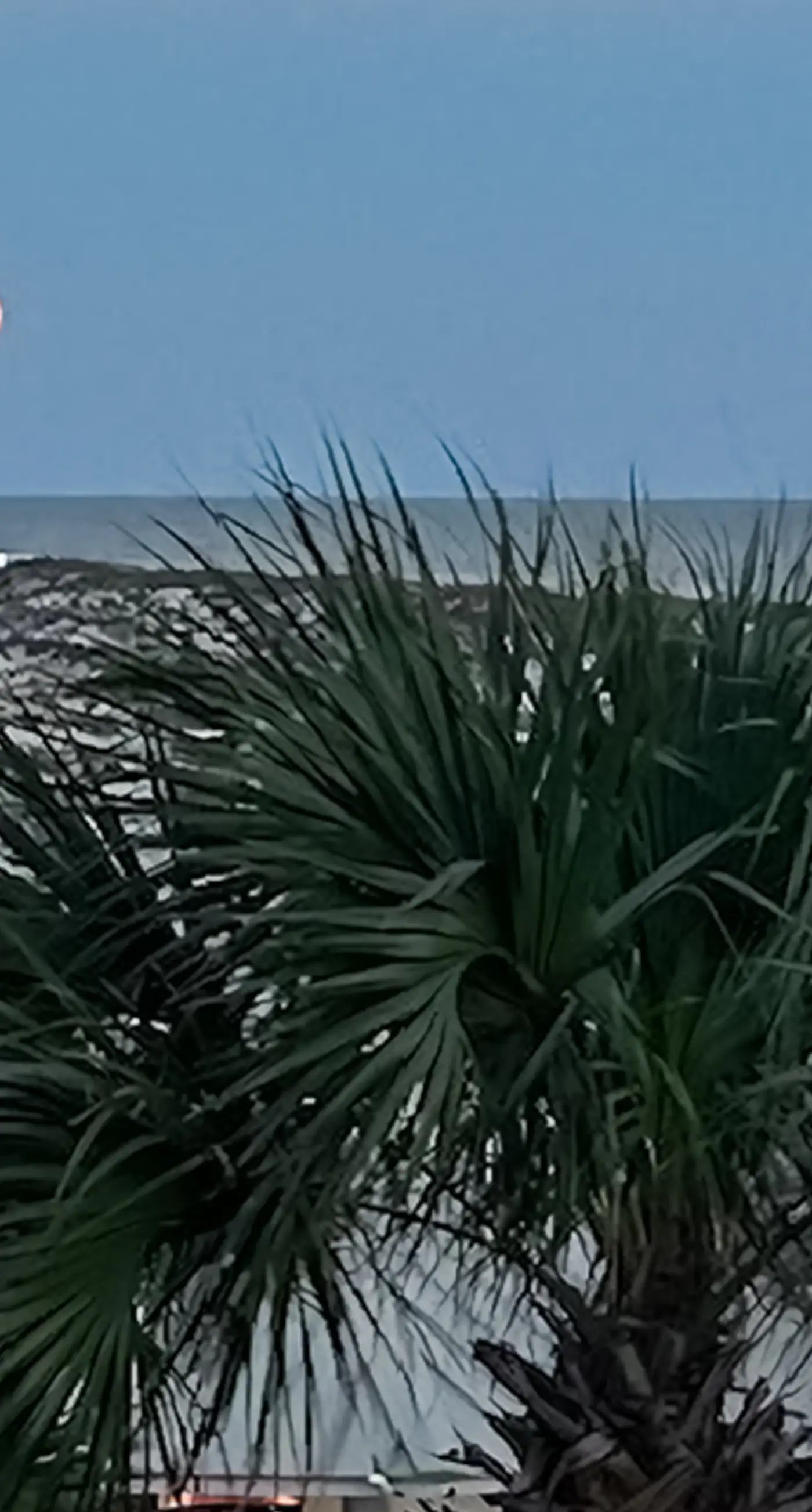 Bright oceanfront condo with pool, hot tub, sauna, tennis & central AC