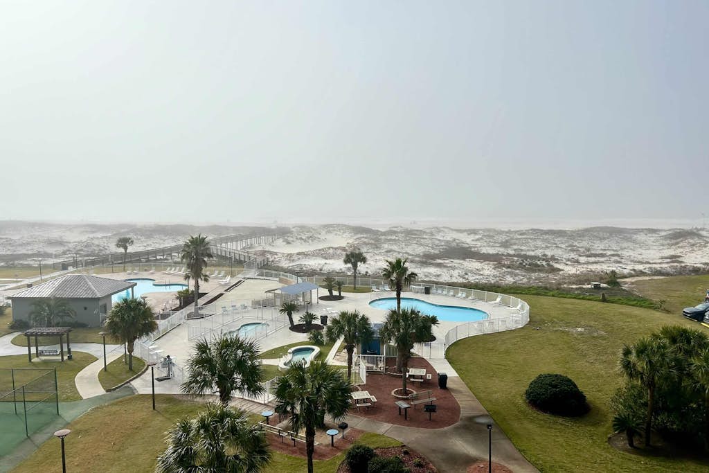Plantation Palms #6609