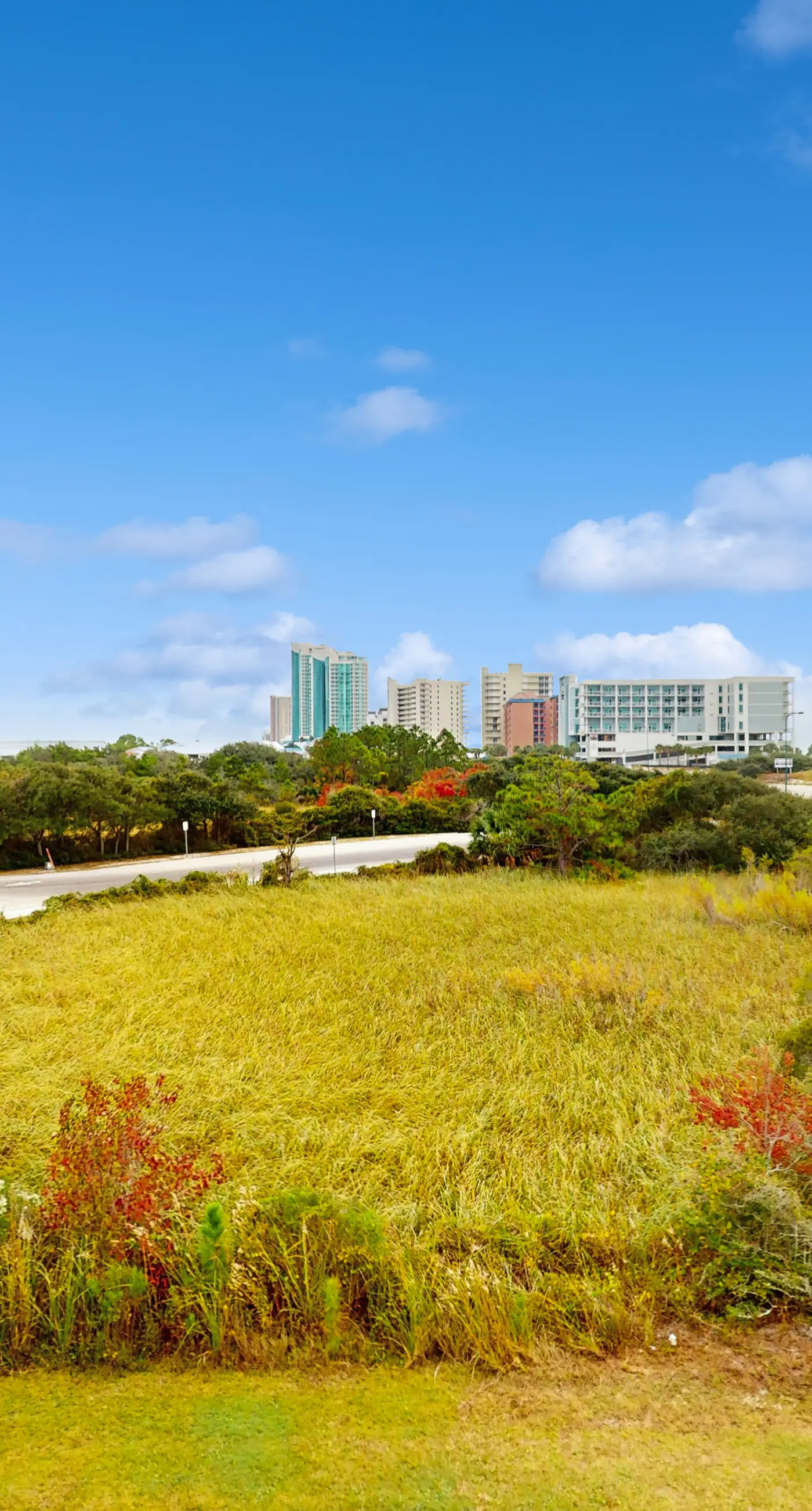 Gulf Coast condo with a pool, gym, boat launch, & nearby beach access