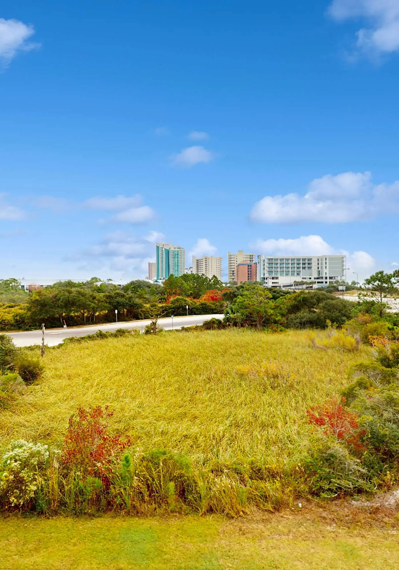 Gulf Coast condo with a pool, gym, boat launch, & nearby beach access