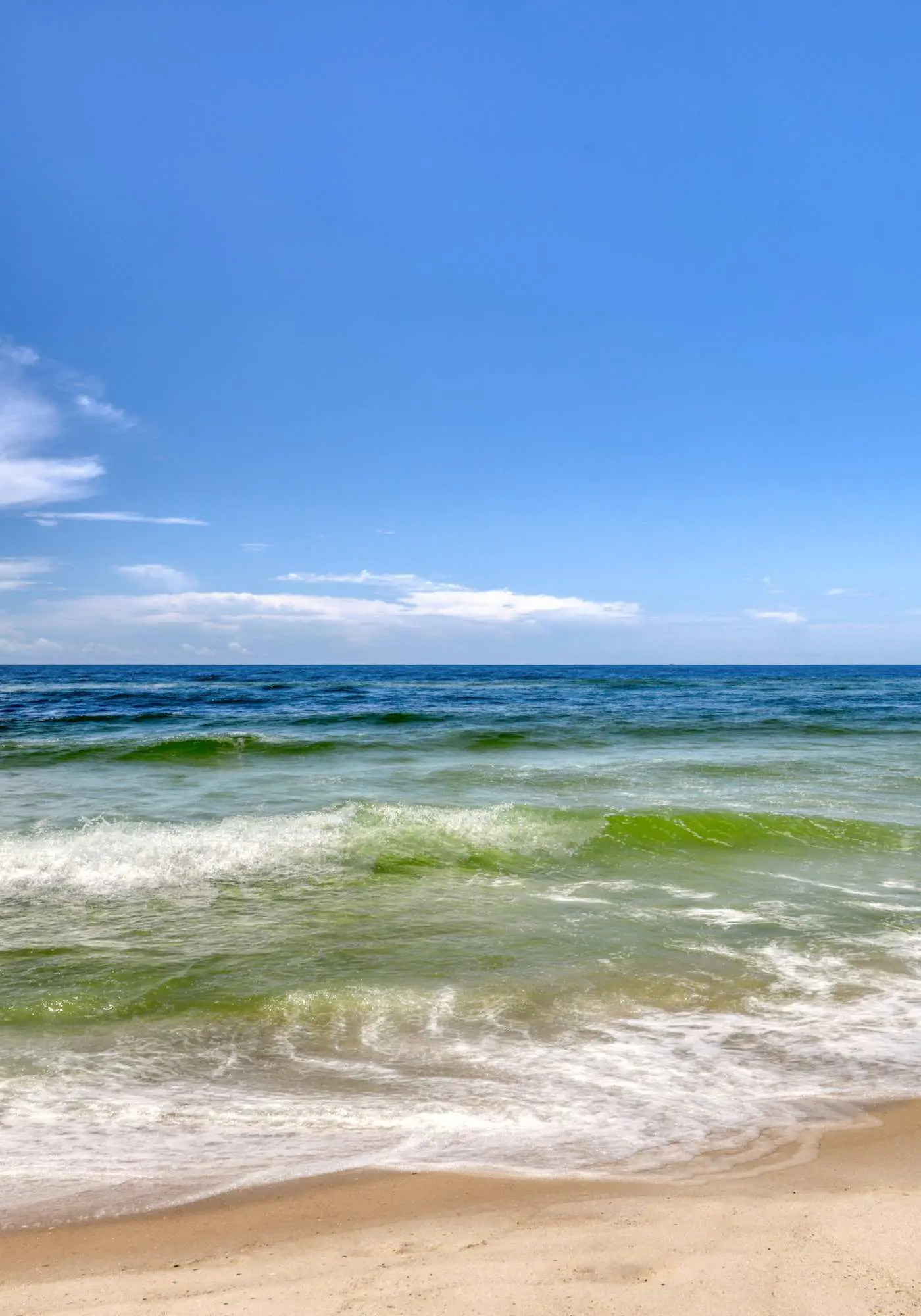 Gulf Coast condo with a pool, gym, boat launch, & nearby beach access