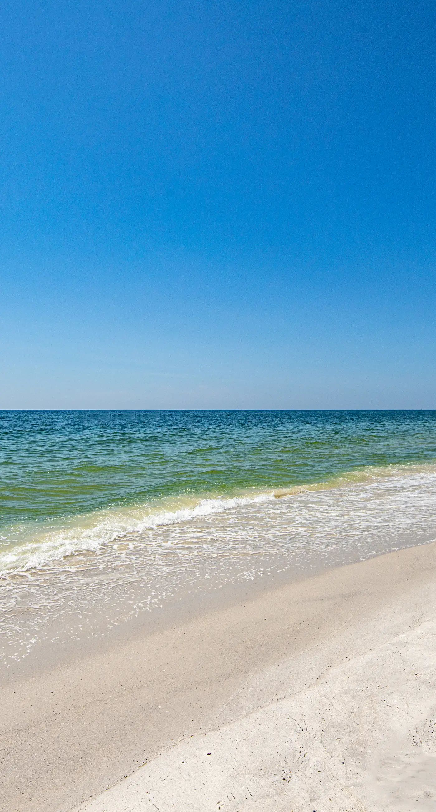 Adorable Studio on Beach W/ Shared Pool, Private Balcony, & Beach Access