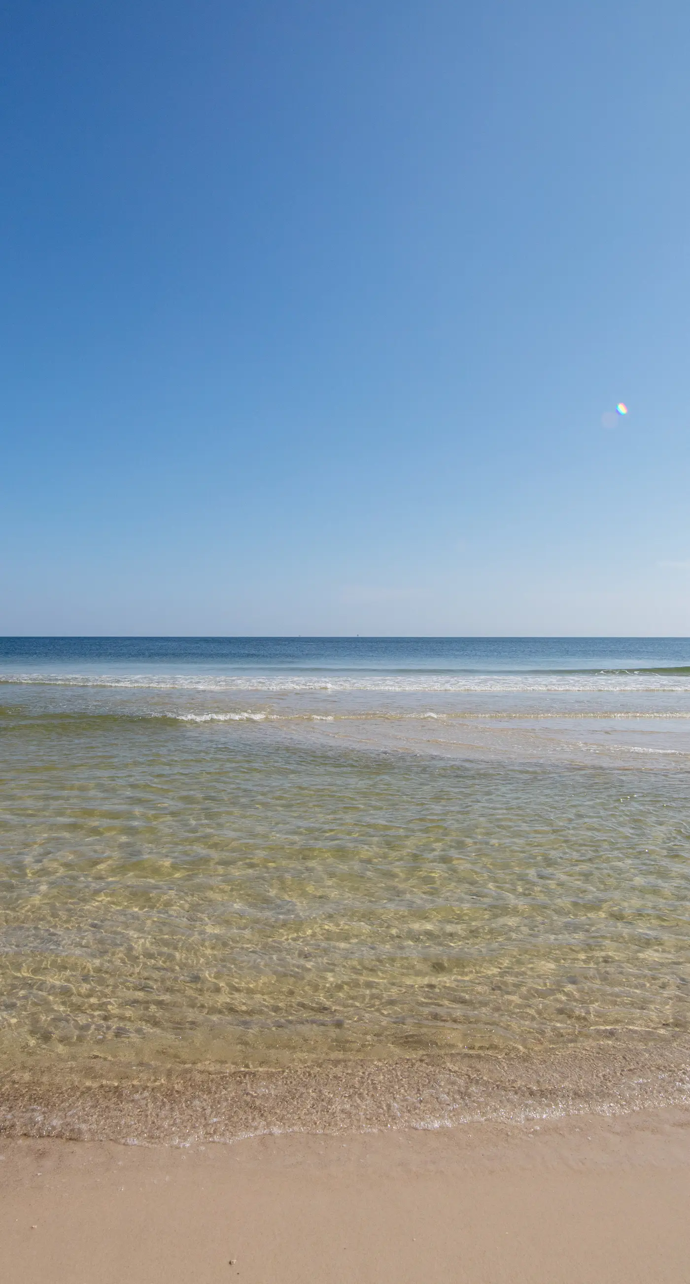 Adorable Studio on Beach W/ Shared Pool, Private Balcony, & Beach Access