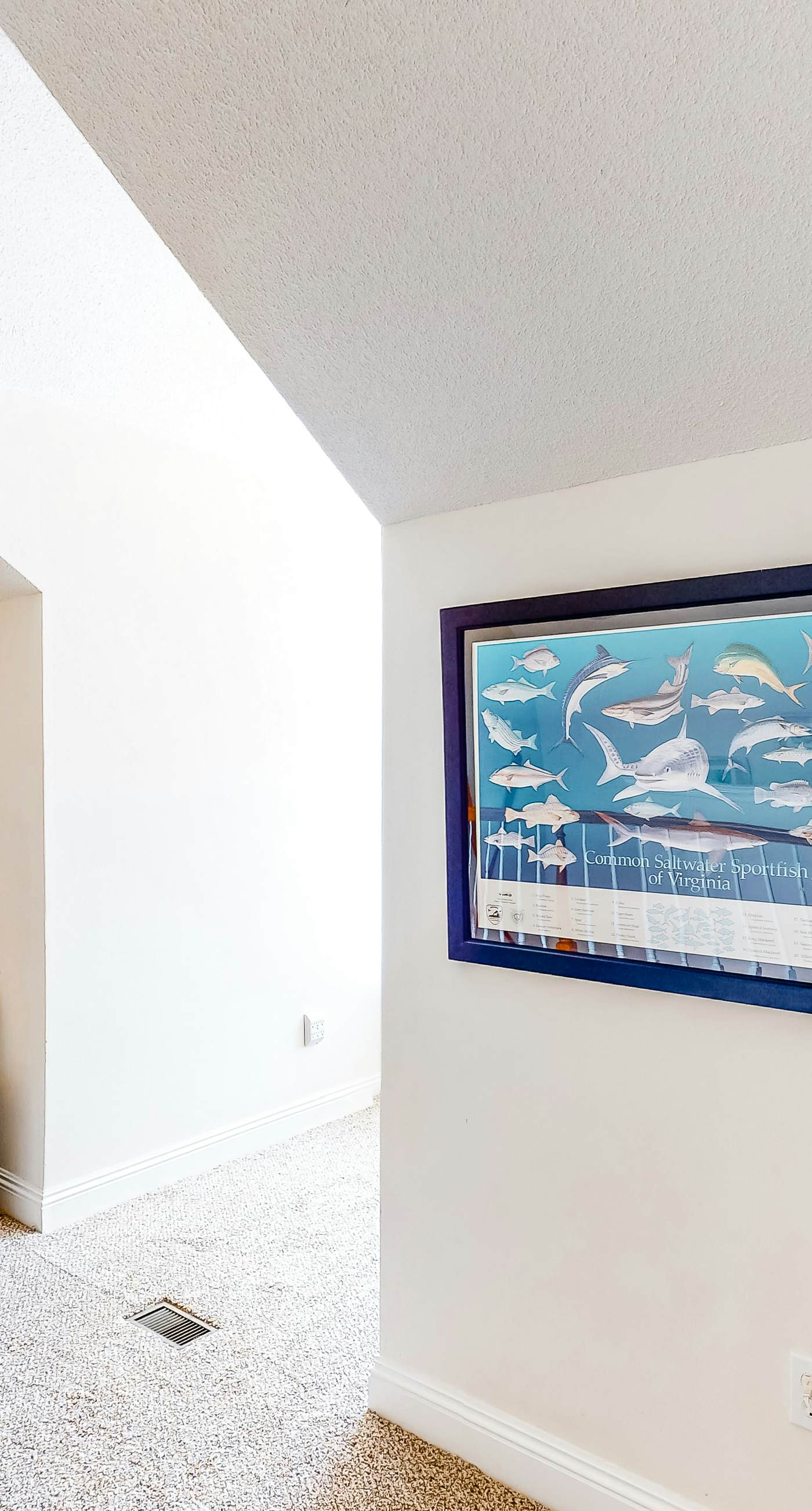 Bright duplex with two full kitchens, large decks, and private washer/dryers