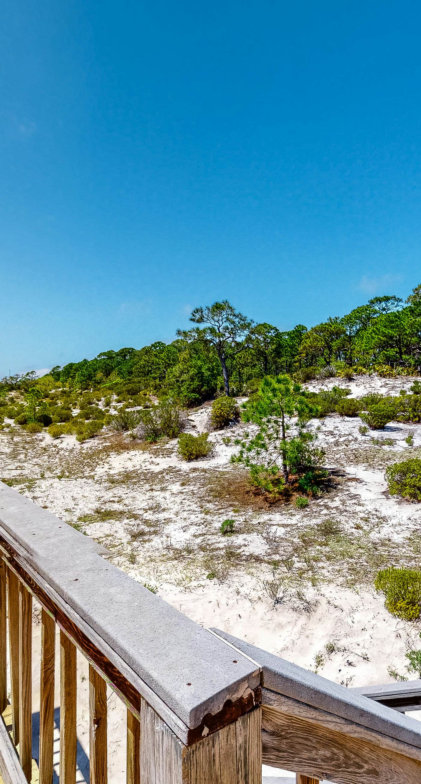 Bright duplex with two full kitchens, large decks, and private washer/dryers