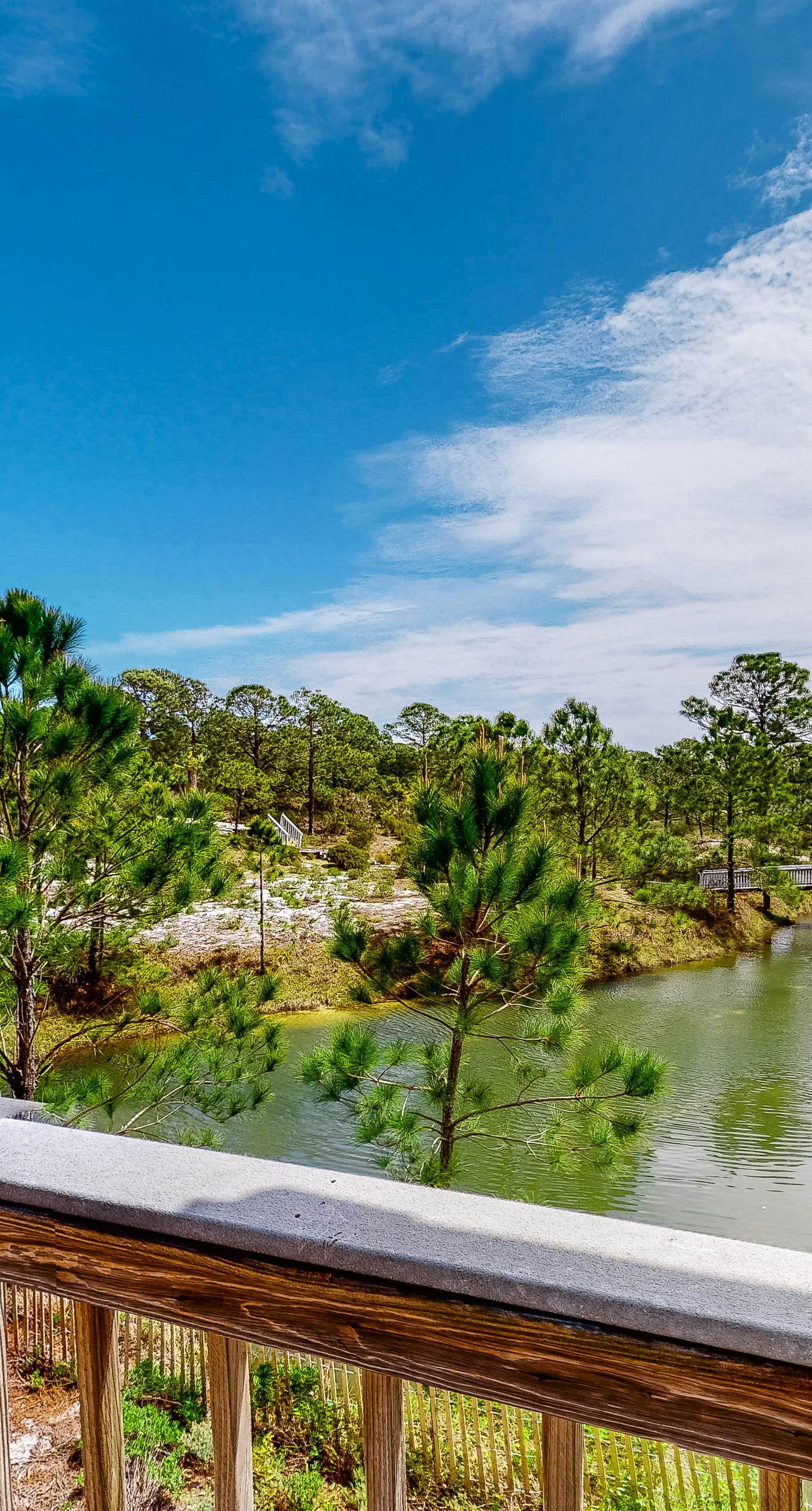 Bright duplex with two full kitchens, large decks, and private washer/dryers