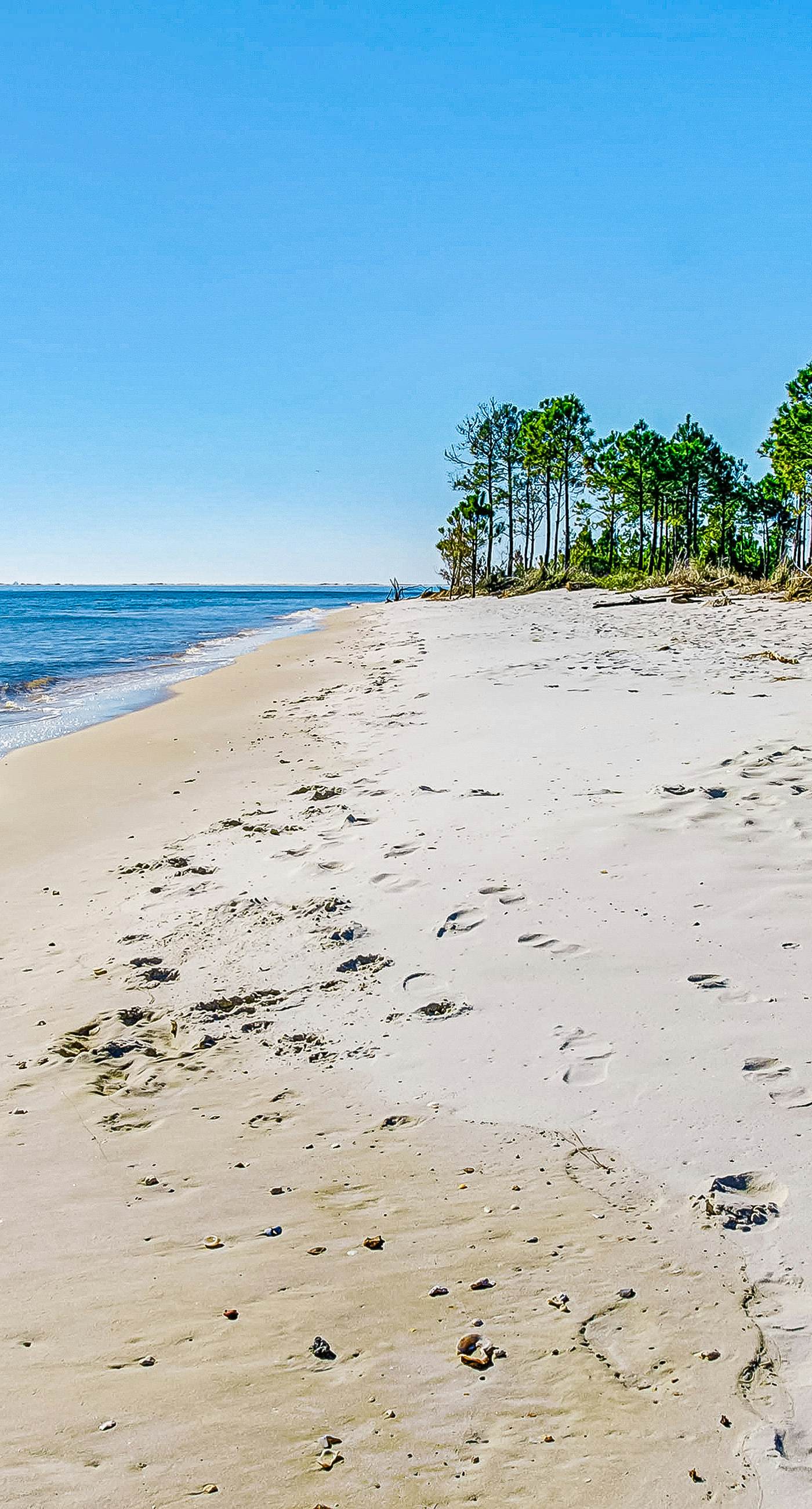 Friendly Duplex w/ Full Kitchen, Central AC, Washer/Dryer, & High-Speed WiFi!