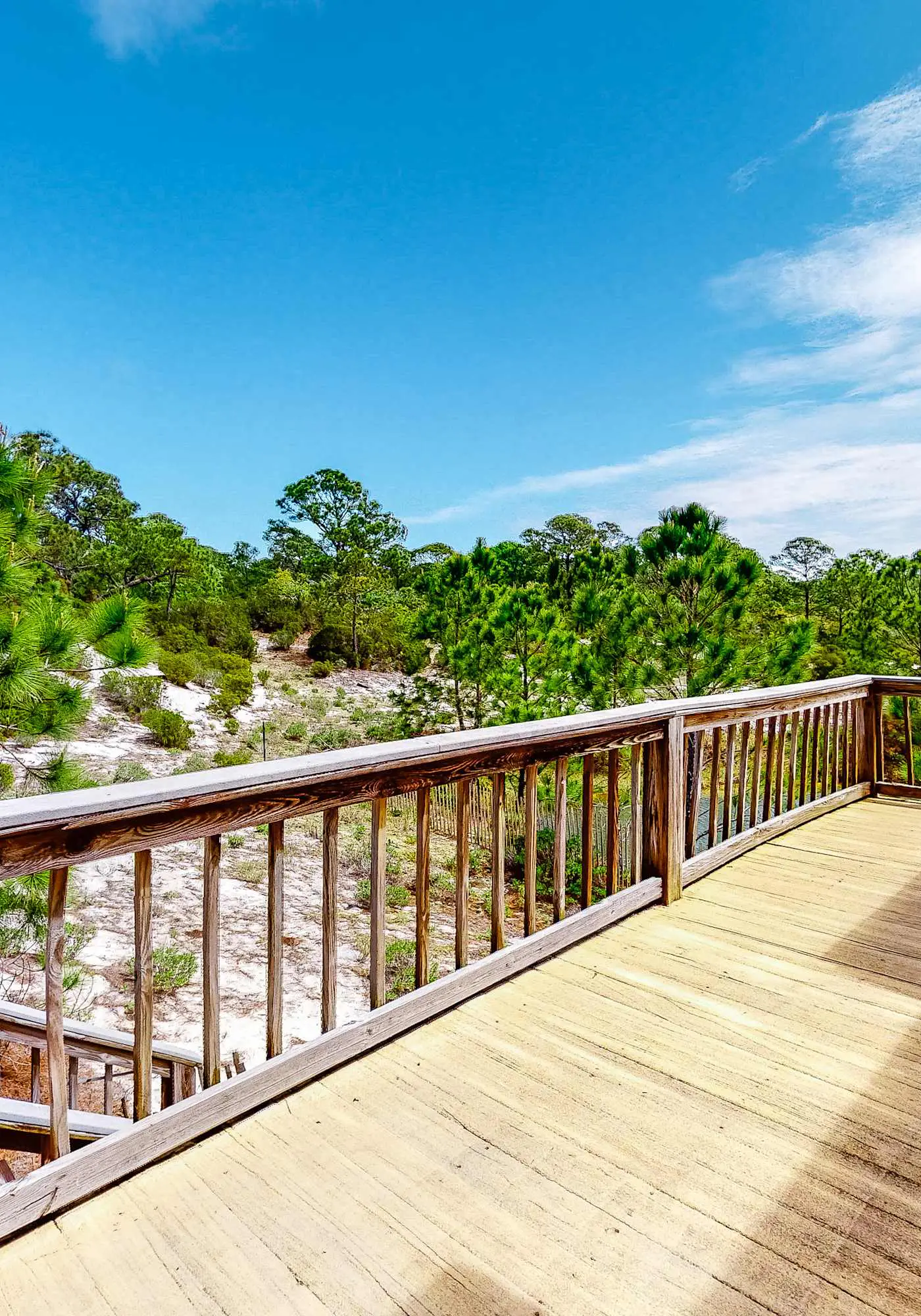 Friendly Duplex w/ Full Kitchen, Central AC, Washer/Dryer, & High-Speed WiFi!