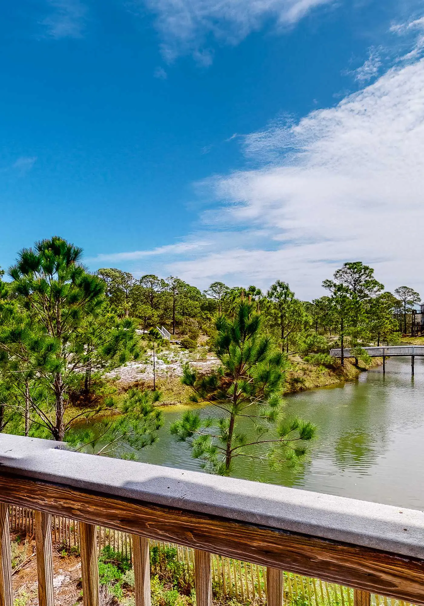 Friendly Duplex w/ Full Kitchen, Central AC, Washer/Dryer, & High-Speed WiFi!