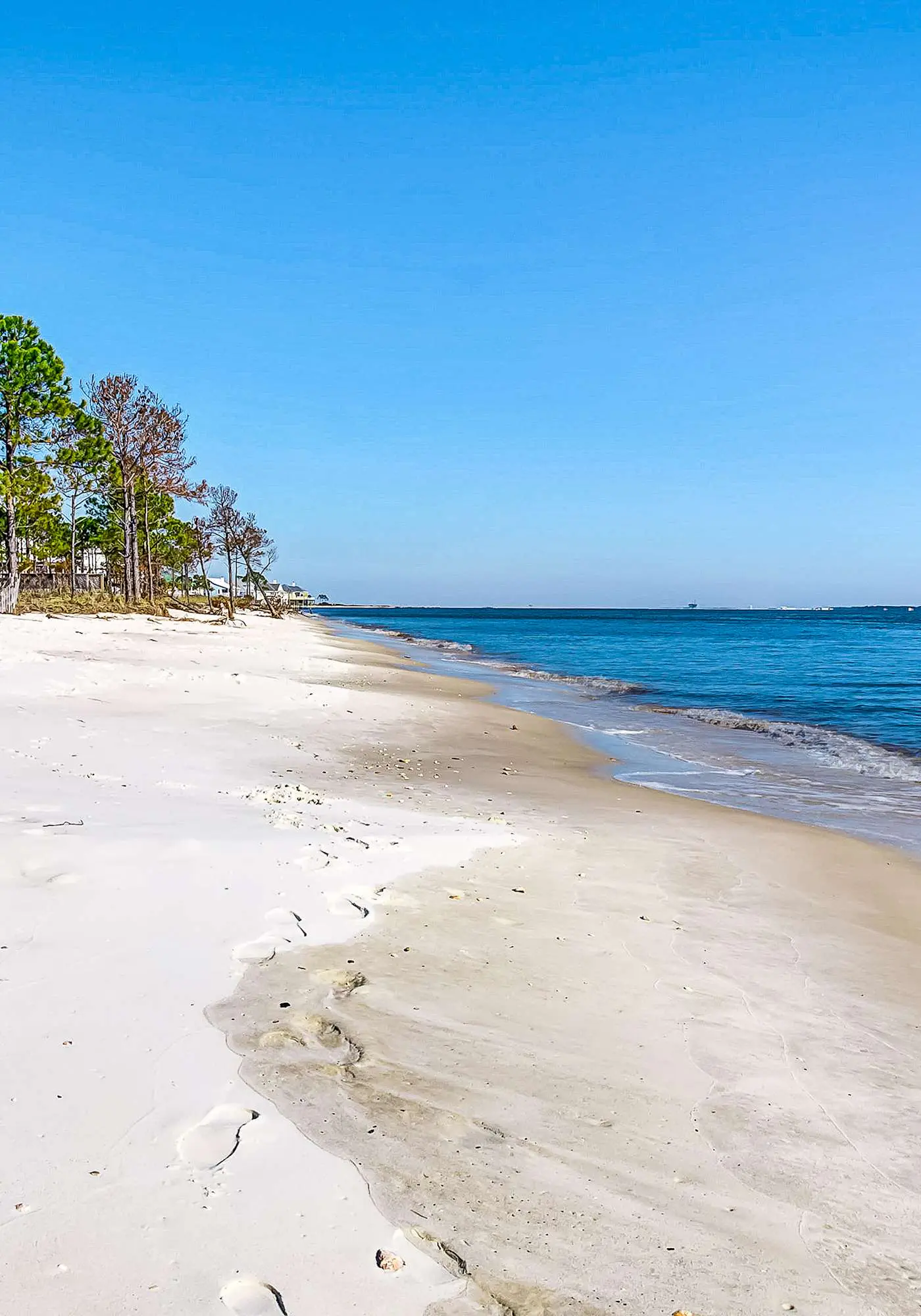 Beachy Duplex w/ Full Kitchen, High-Speed WiFi, Central AC, and Washer/Dryer!