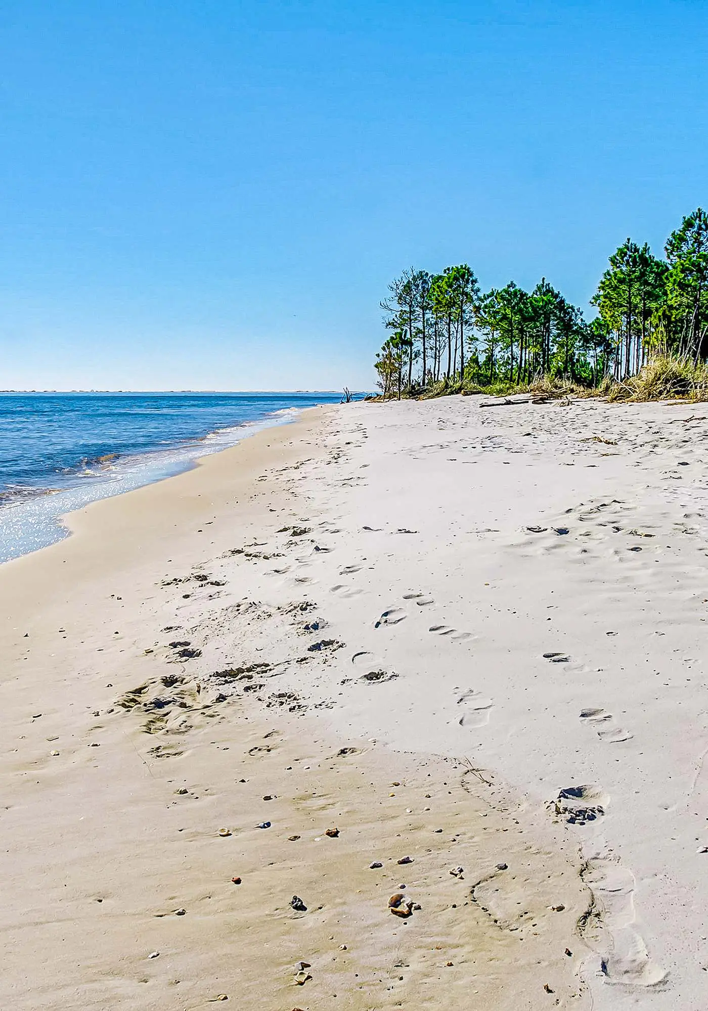 Beachy Duplex w/ Full Kitchen, High-Speed WiFi, Central AC, and Washer/Dryer!