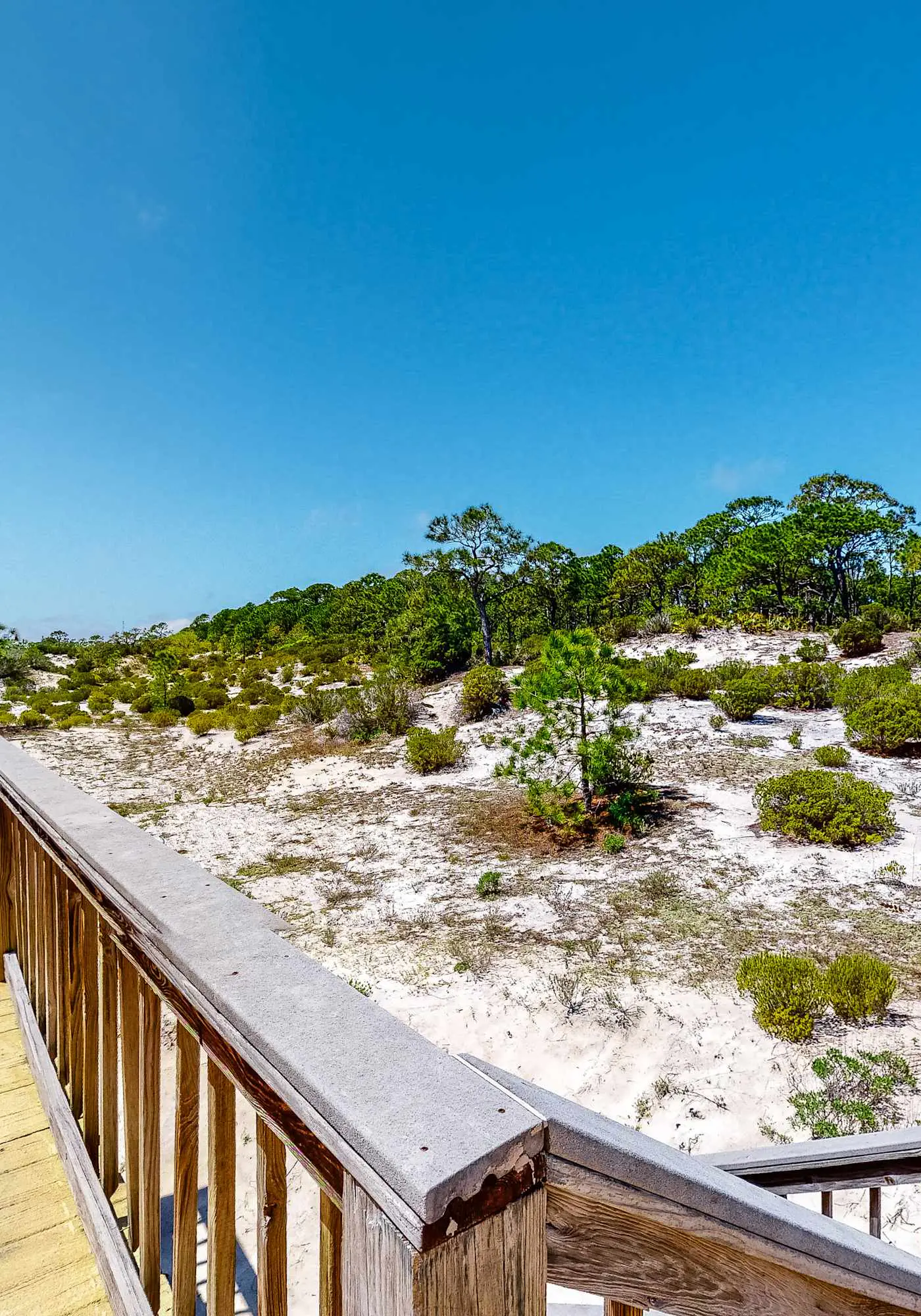 Beachy Duplex w/ Full Kitchen, High-Speed WiFi, Central AC, and Washer/Dryer!