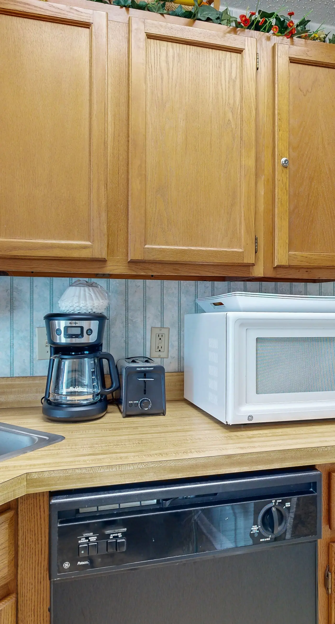 Charming Studio with Murphy Bed and Full Kitchen - Walk to the Beach