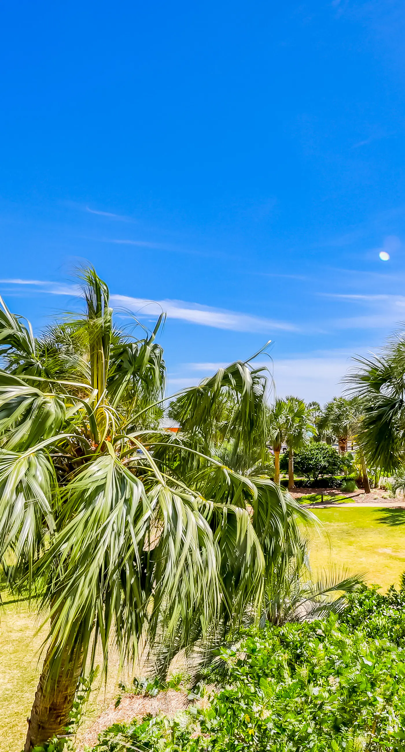 Gorgeous 2nd-floor condo with W/D, resort-style pool, gym, and beach access