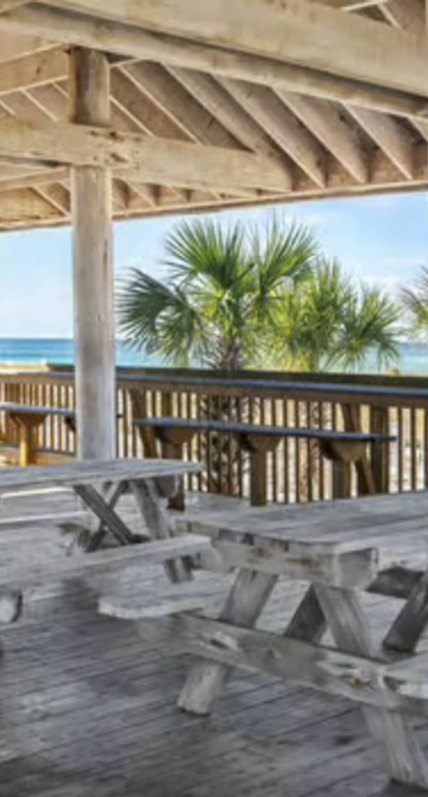 Beachside dog-friendly retreat with pools, hot tub, golf & beach service