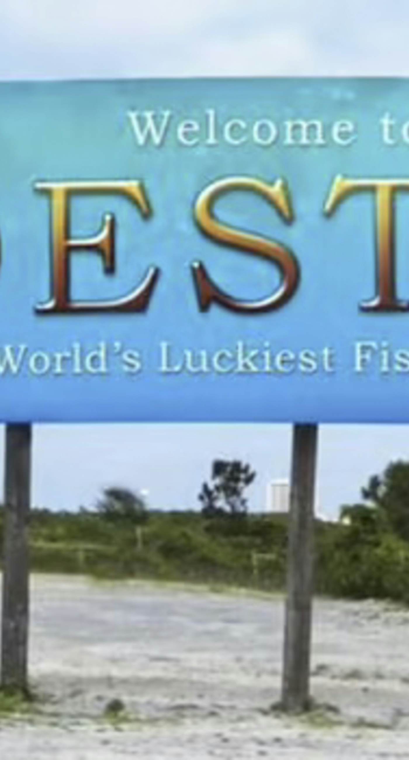 Beachside dog-friendly retreat with pools, hot tub, golf & beach service