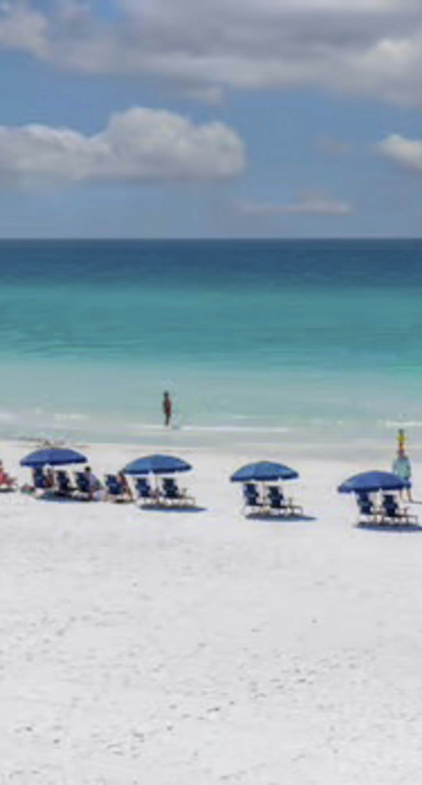 Beachside dog-friendly retreat with pools, hot tub, golf & beach service