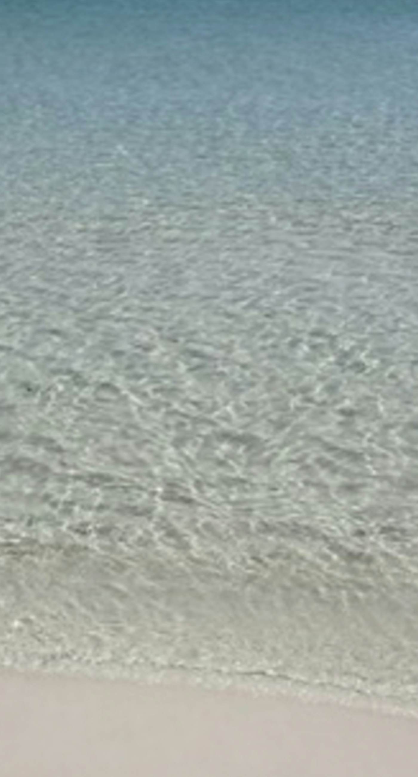 Beachside dog-friendly retreat with pools, hot tub, golf & beach service