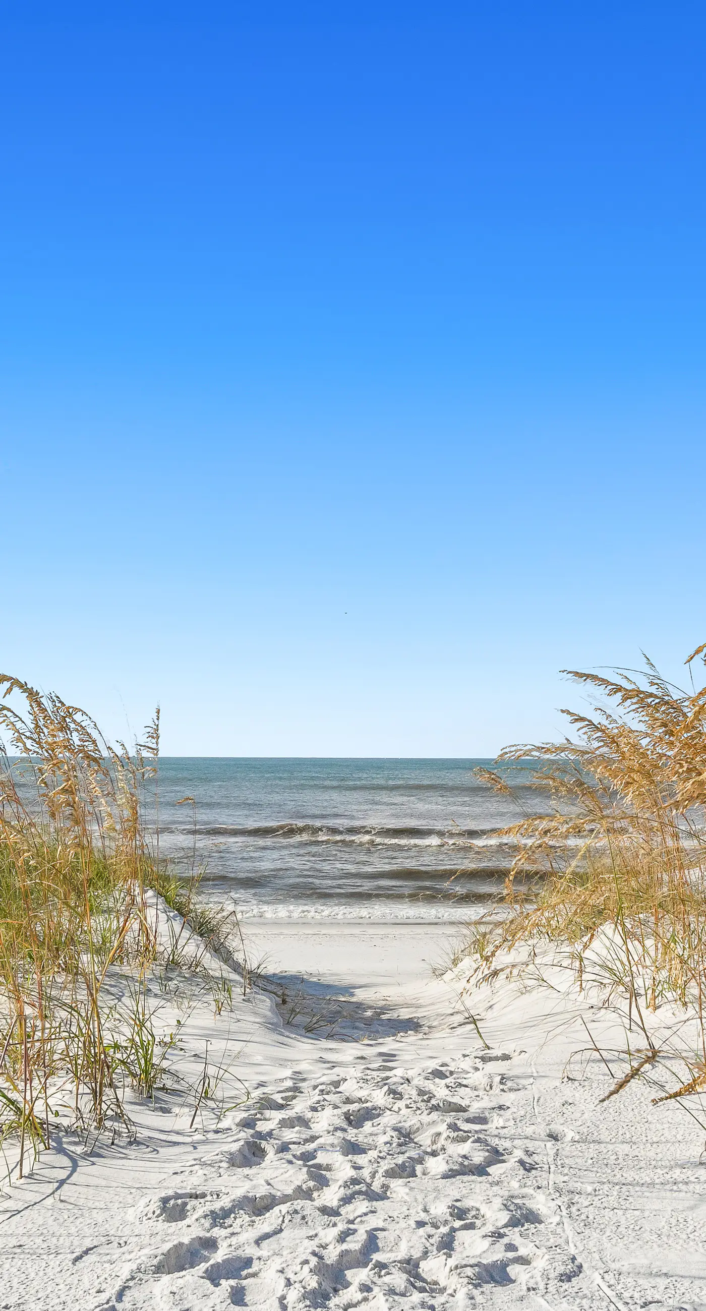 Stunning Beach Retreat with Shared Pool, Beach Access, Large Balcony & Gas Grill