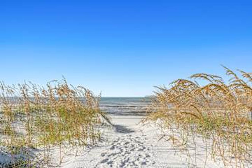 Beachy Dreams