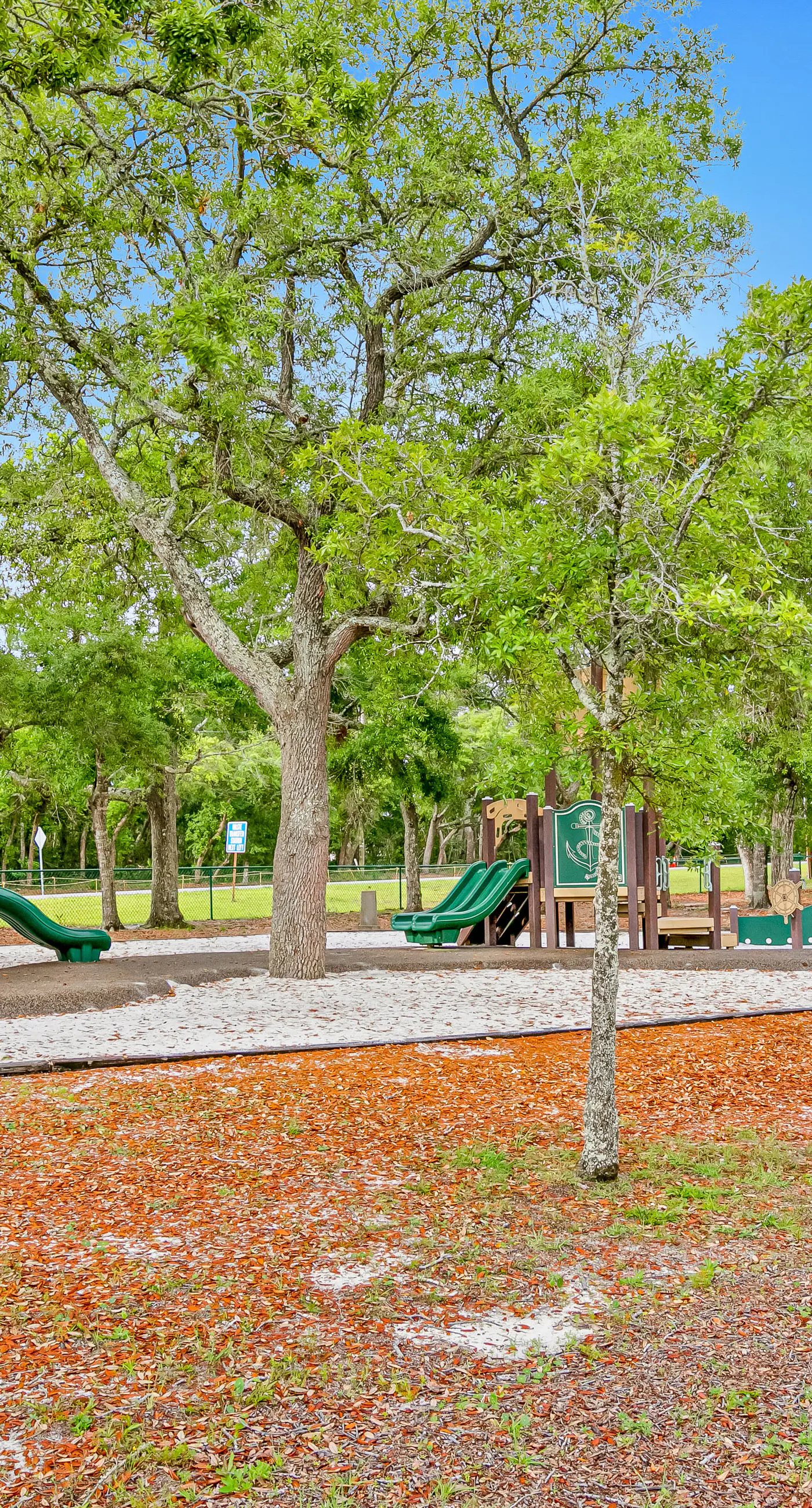 Dog-Friendly Home with Private Pool & High-Speed WiFi - Near Beach & Boat Launch