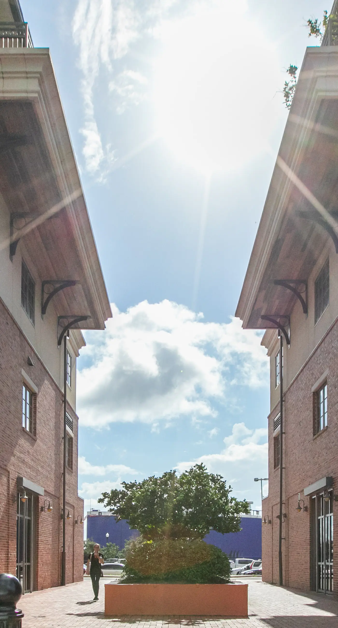 Stylish, dog-friendly townhome with firepit & enclosed yard - blocks to downtown