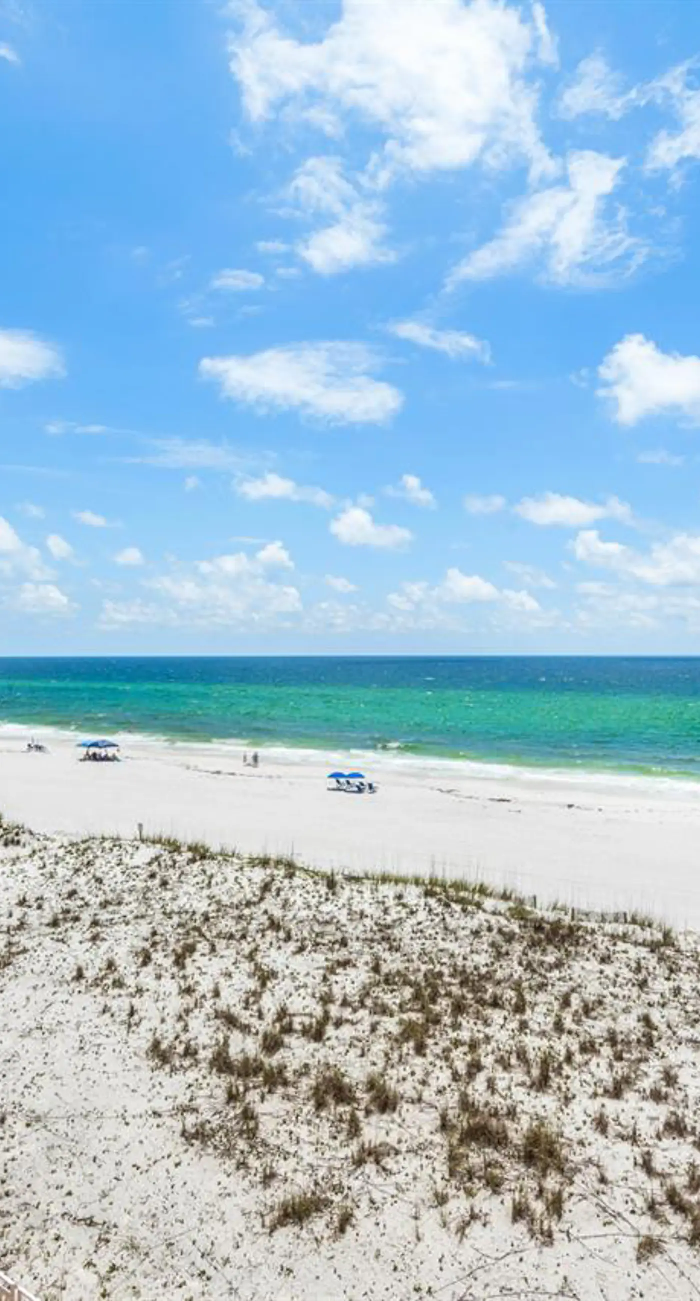 Family-friendly, beachfront condo w/shared outdoor pool, hot tub, & beach access