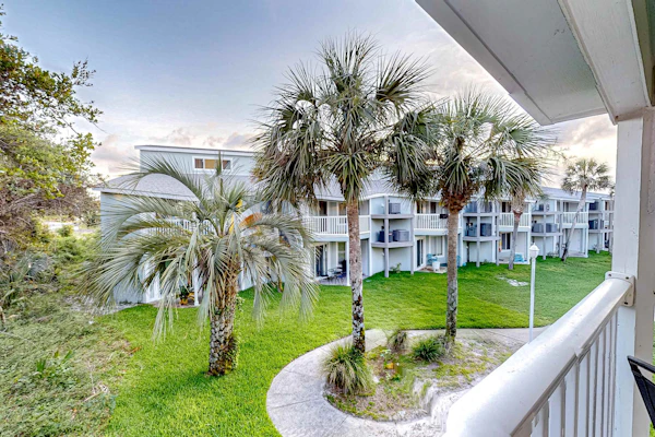 Sand Dollar E201