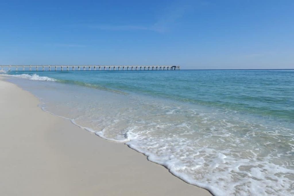Sand Dollar E201
