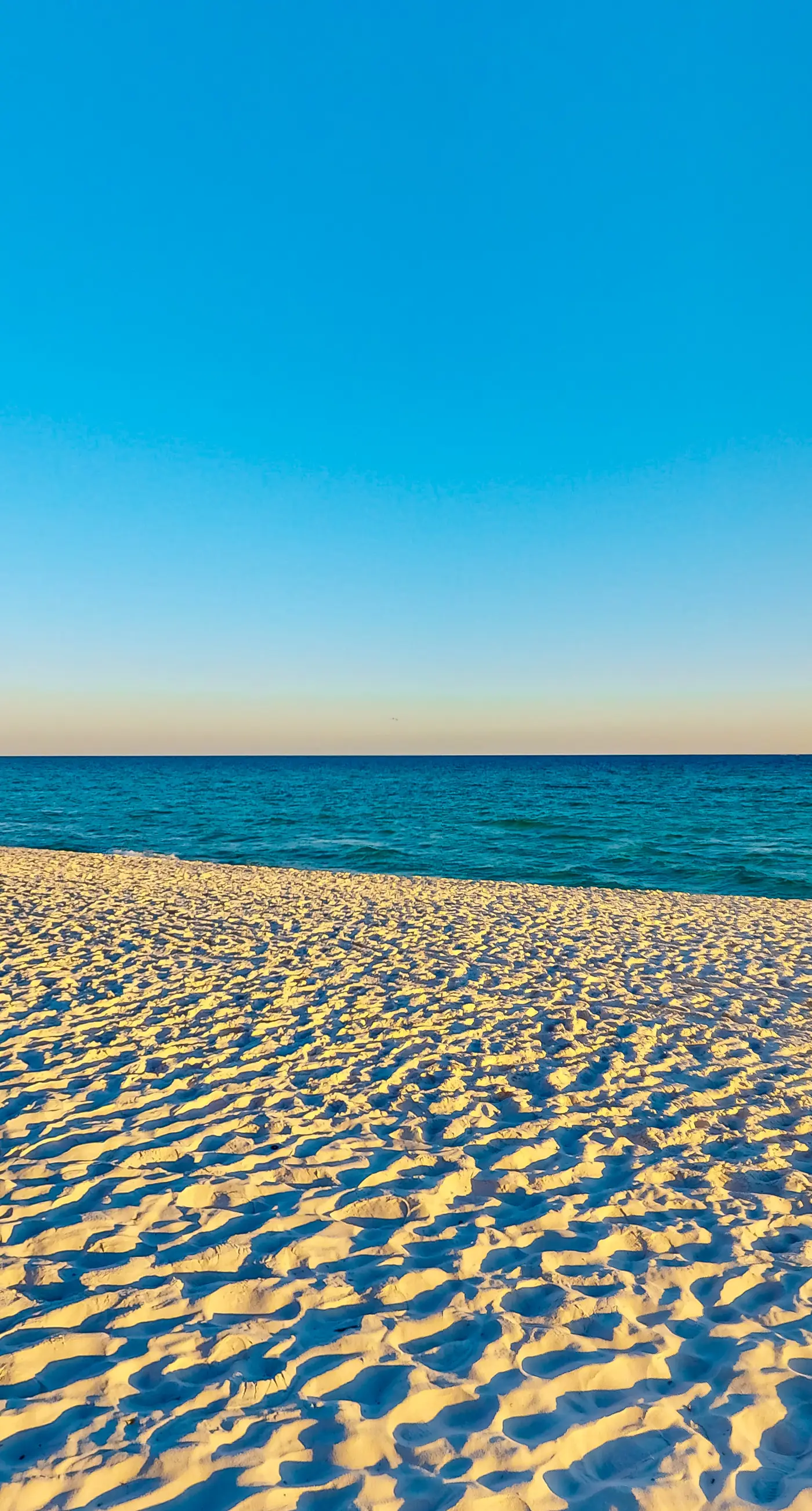 Regency Towers W 101