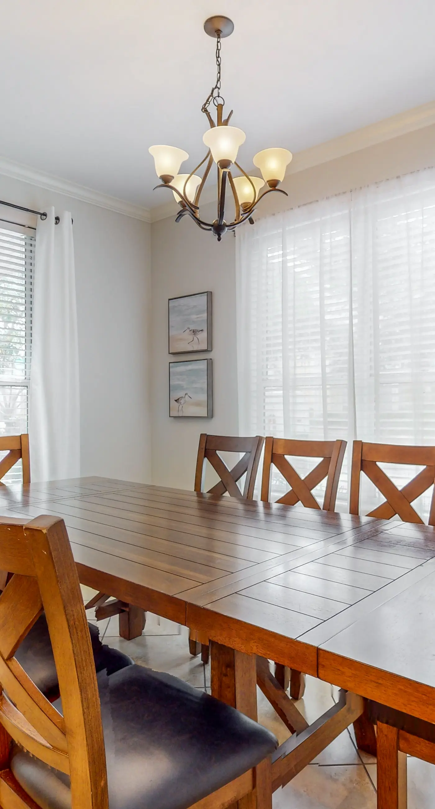 Large, Open Home, Shared Pool, Bike or Walk to the Gulf