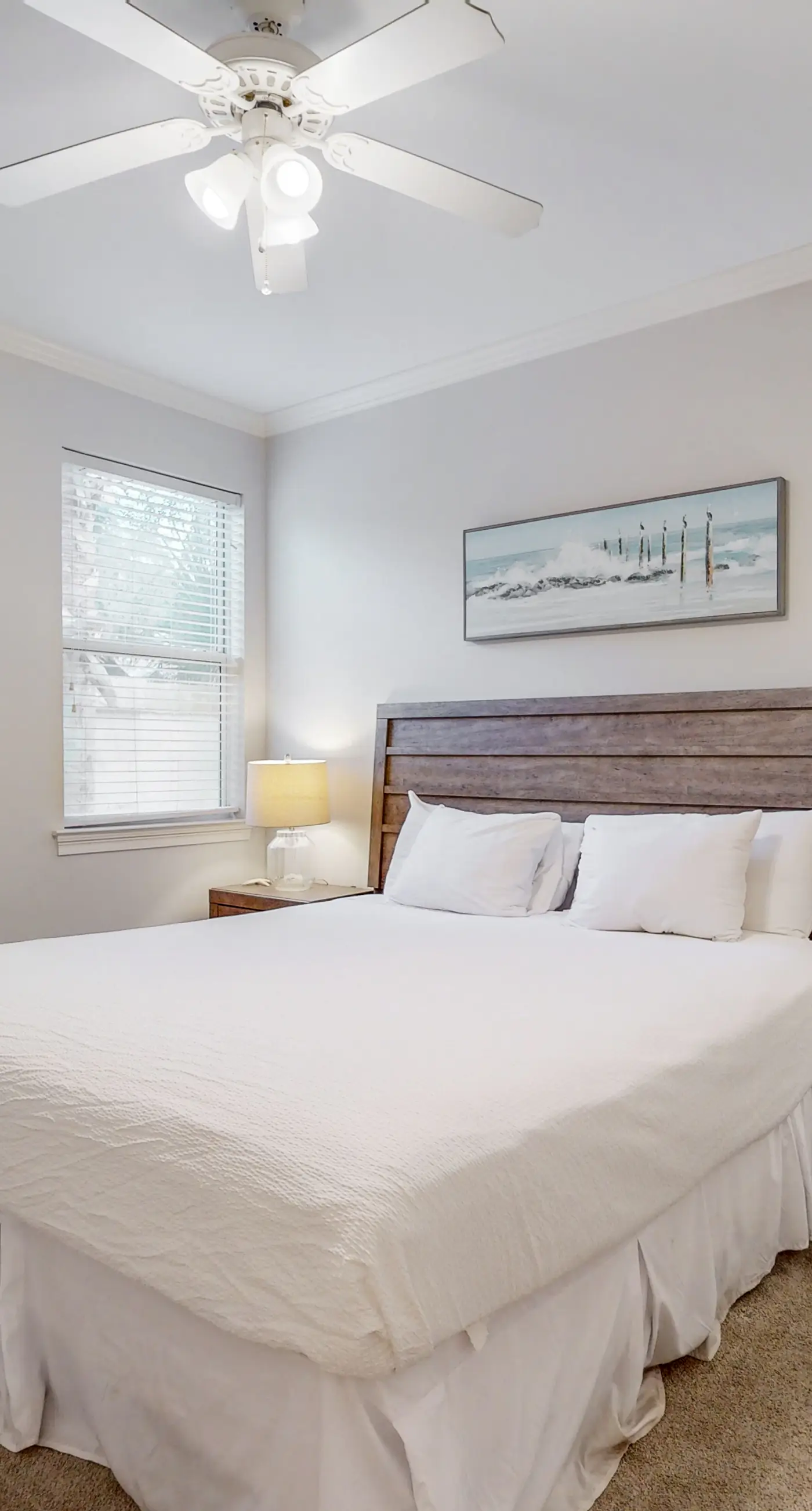 Large, Open Home, Shared Pool, Bike or Walk to the Gulf