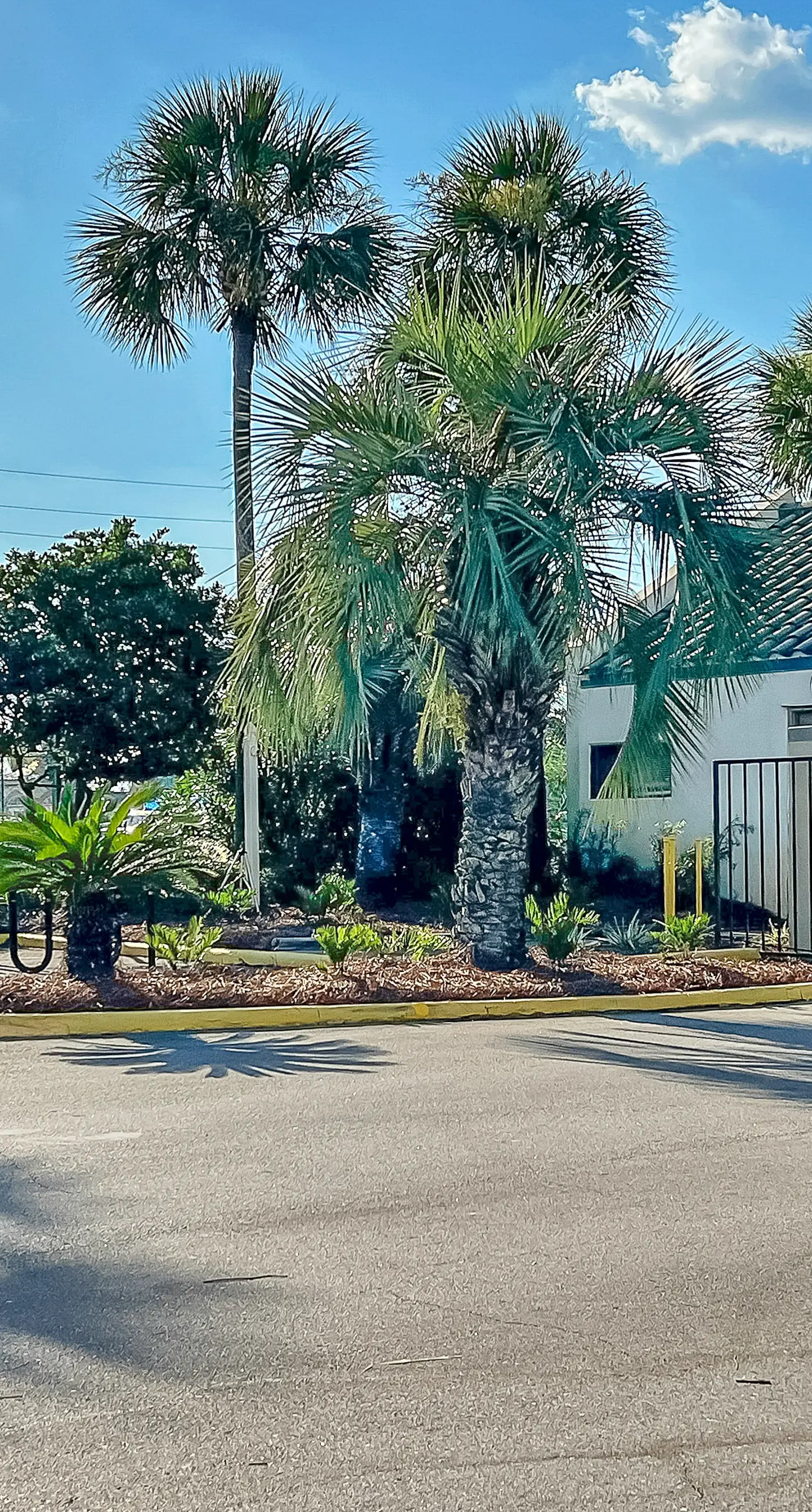 Beautiful Gulf Front Condo Fun Amenities, Nearby Shopping & Dining