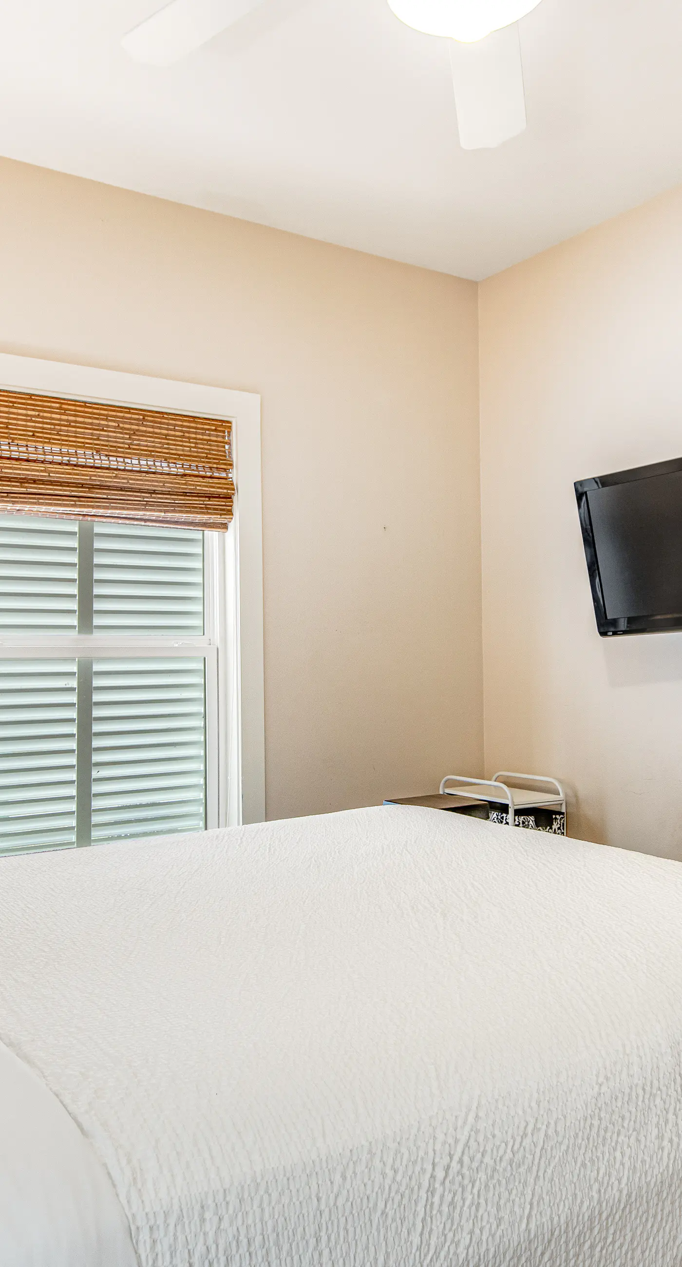 Quiet, dog-friendly home with tropical backyard, cobblestones & private grill