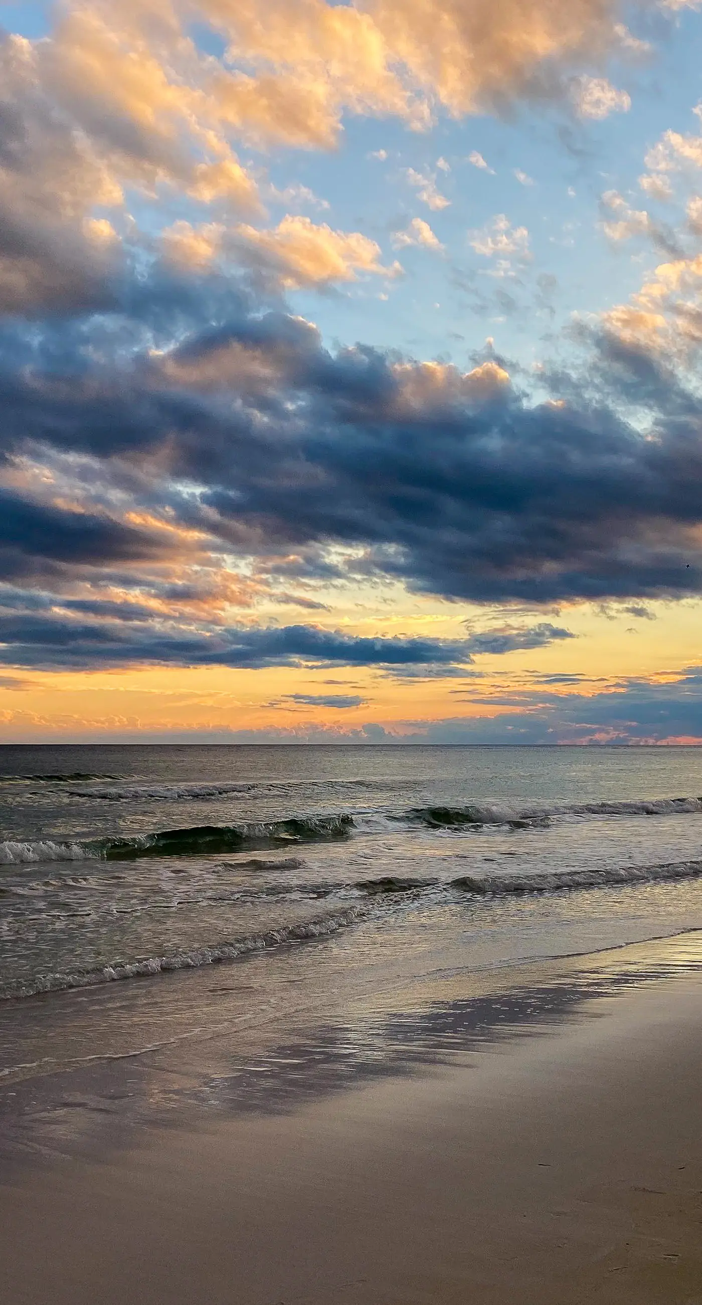 Quiet, dog-friendly home with tropical backyard, cobblestones & private grill