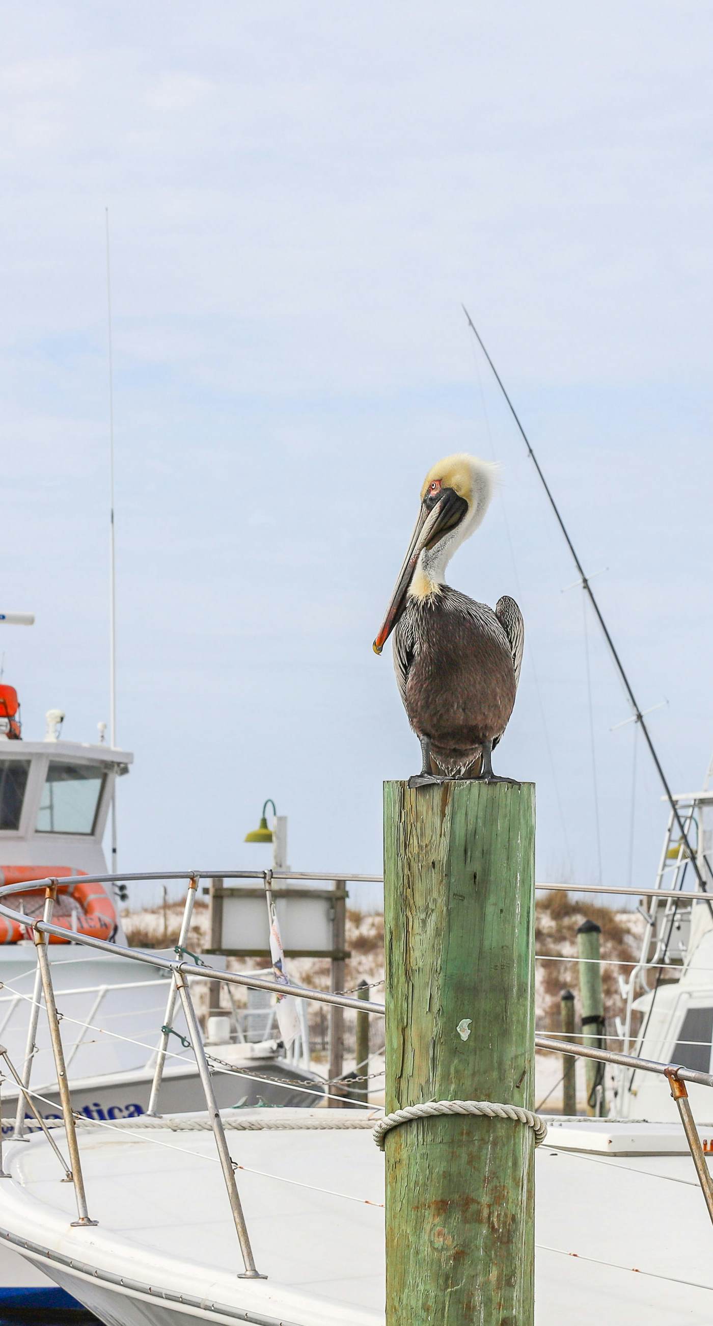 Located at Destin Pointe, Short Walk to the Beach, Minutes from Entertainment