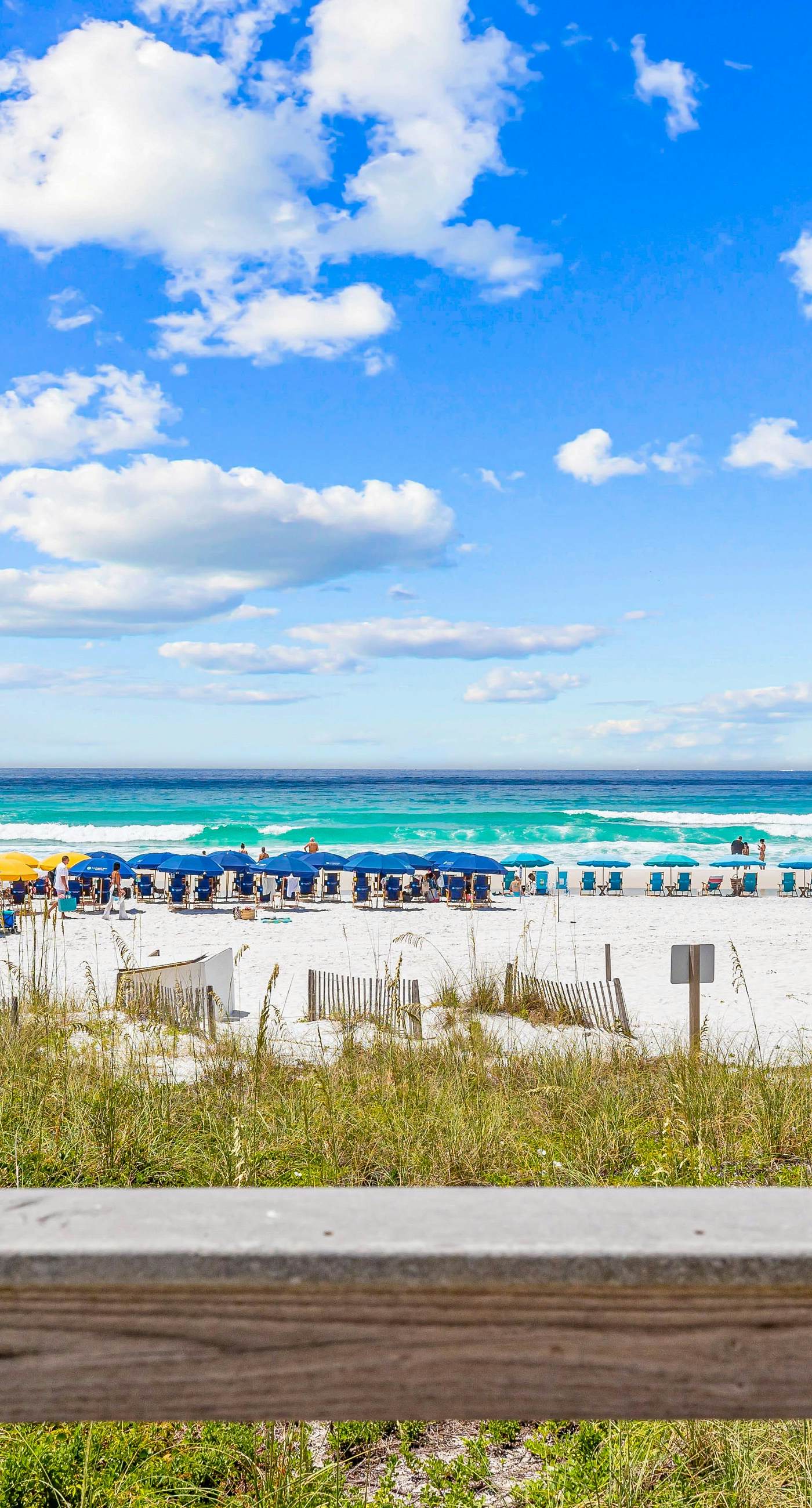Ocean-view condo at SunDestin with pool, hot tub, sauna, and walkable locale