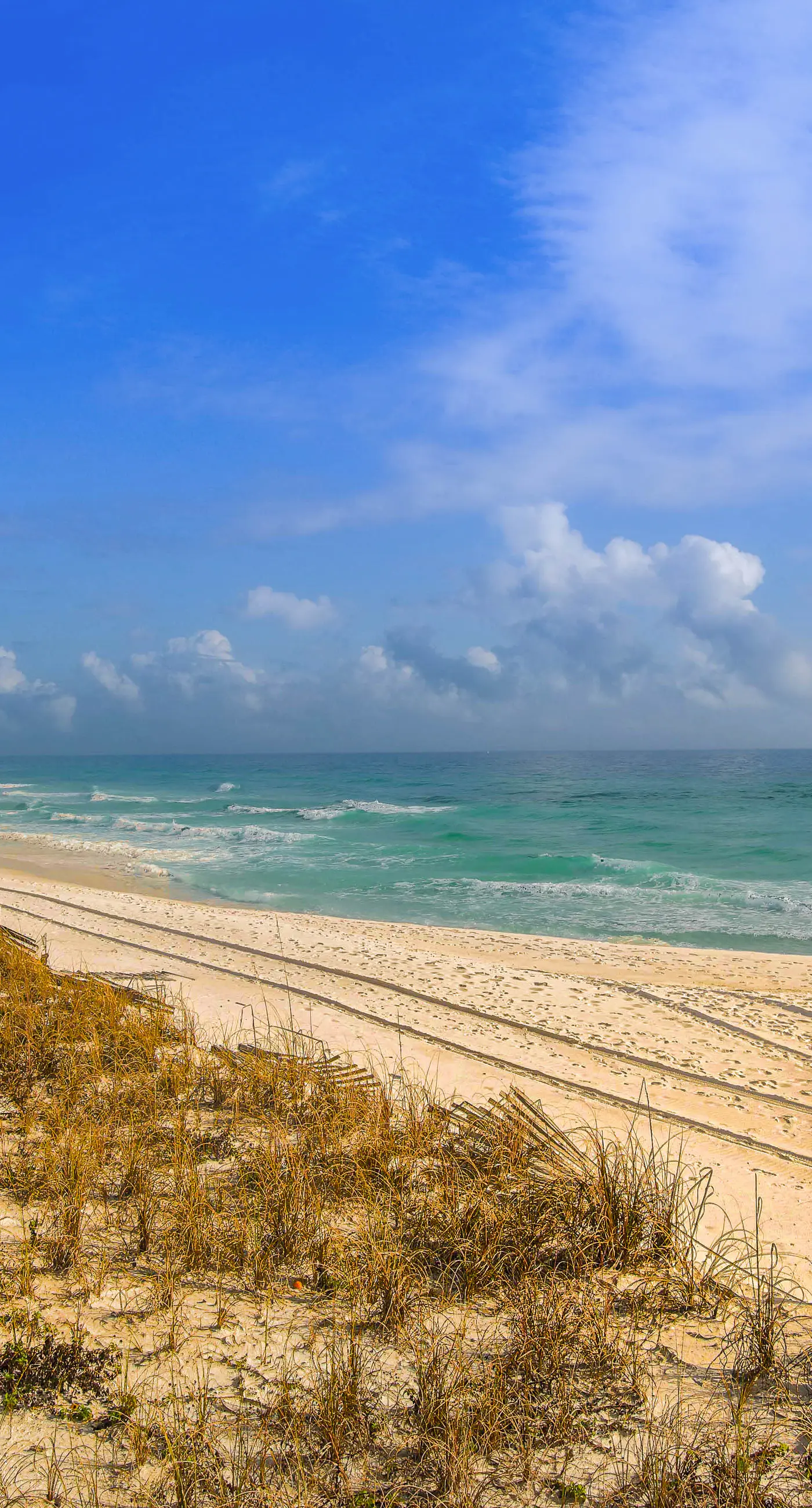 Central condo with five Pools, three hot tubs, beach access, & free golf access
