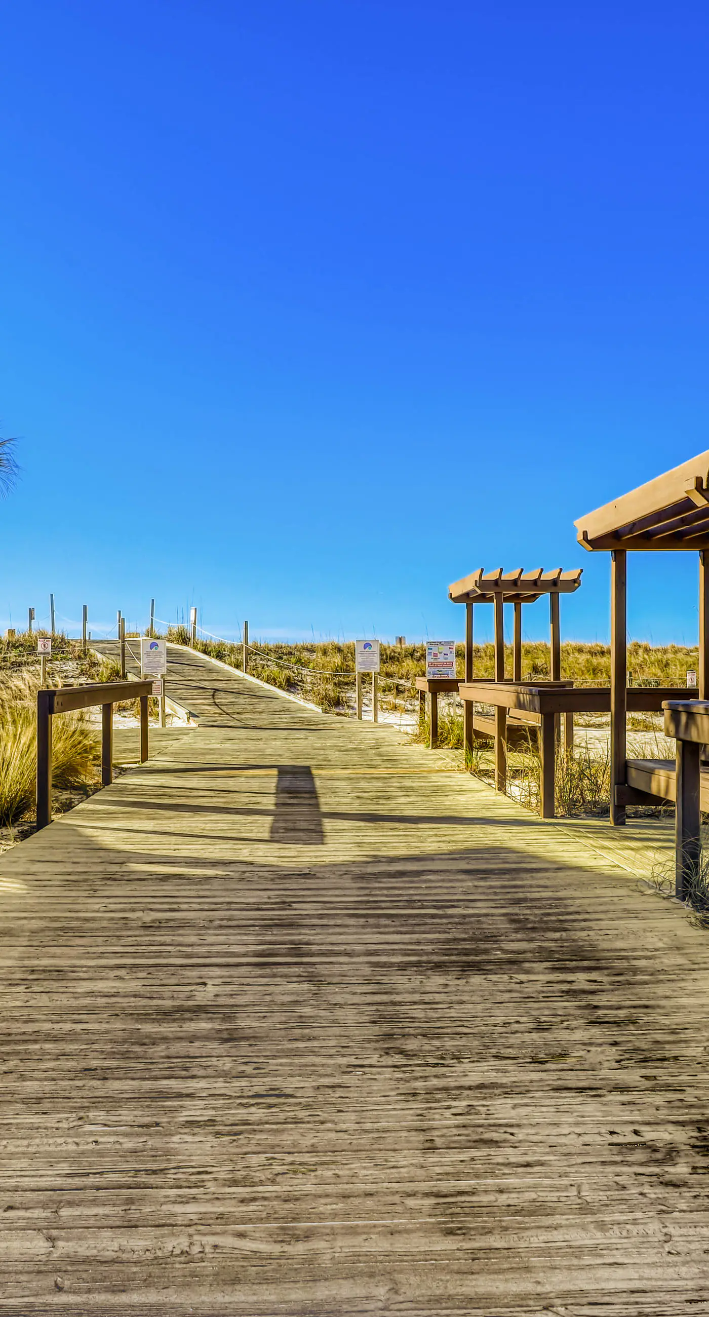 Central condo with five Pools, three hot tubs, beach access, & free golf access