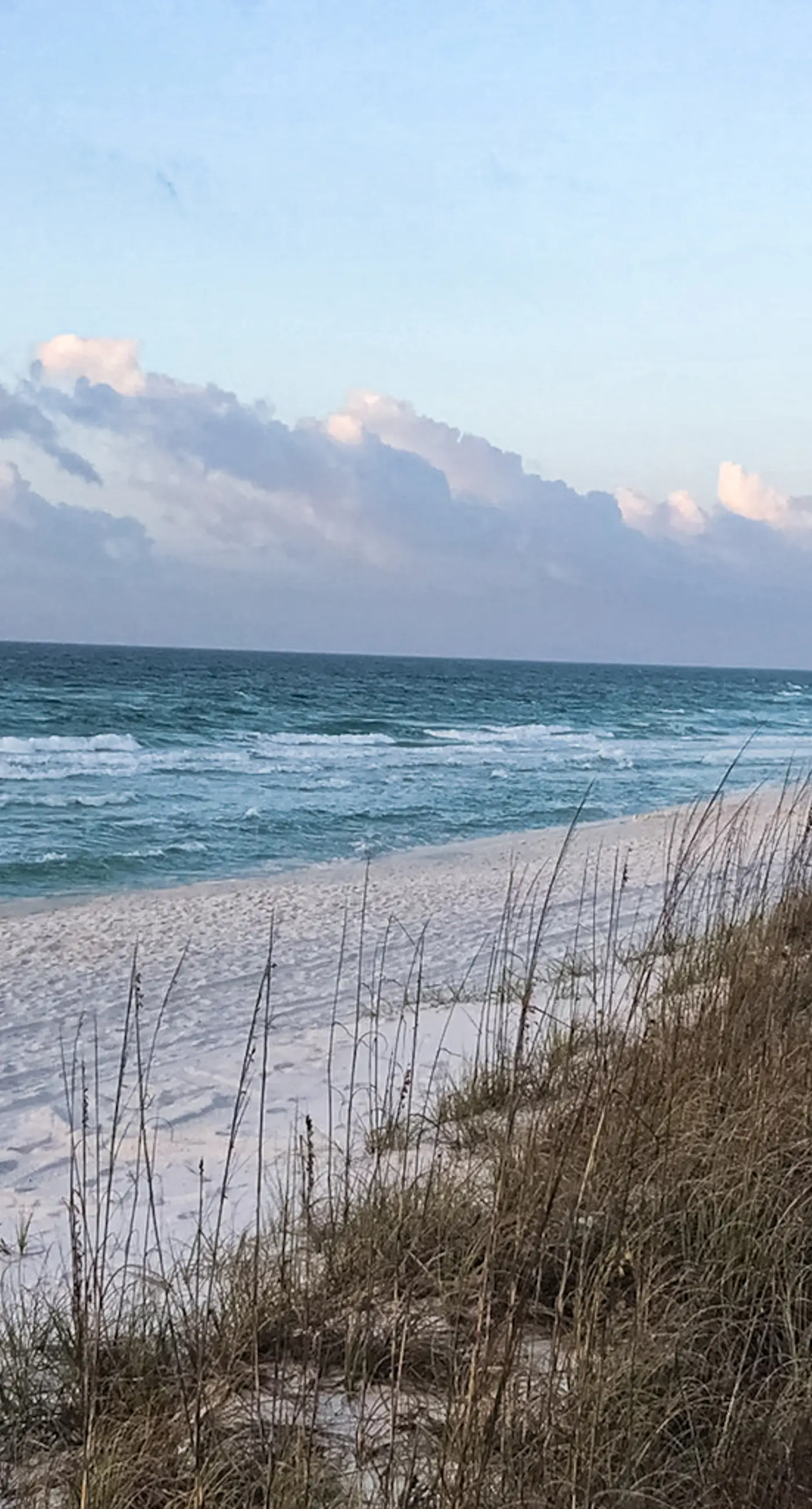 Beachfront condo, shared pool, large balcony and beach access