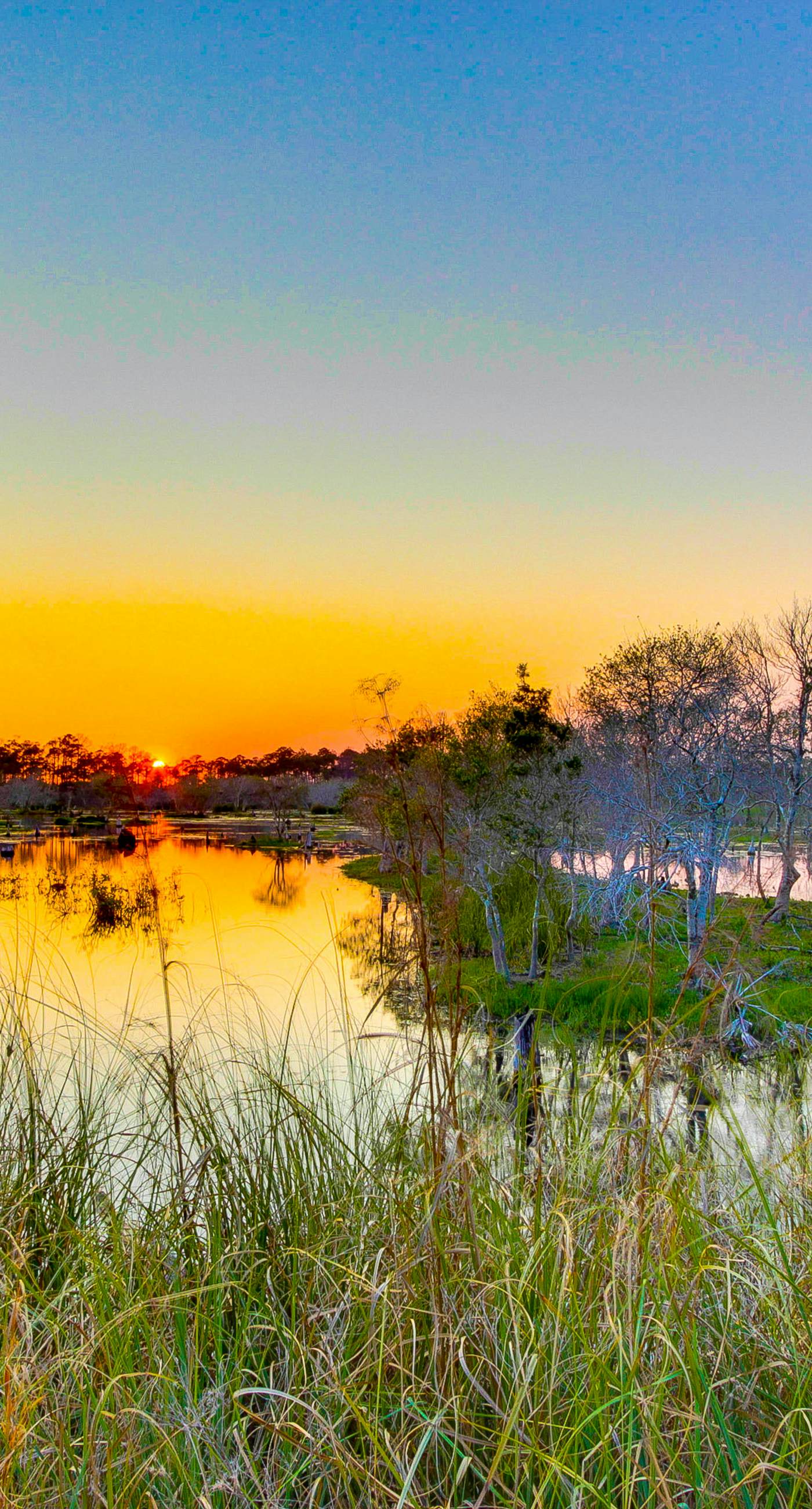 Beachfront resort condo with gulf views, pools,splash pad, hot tub, & gym