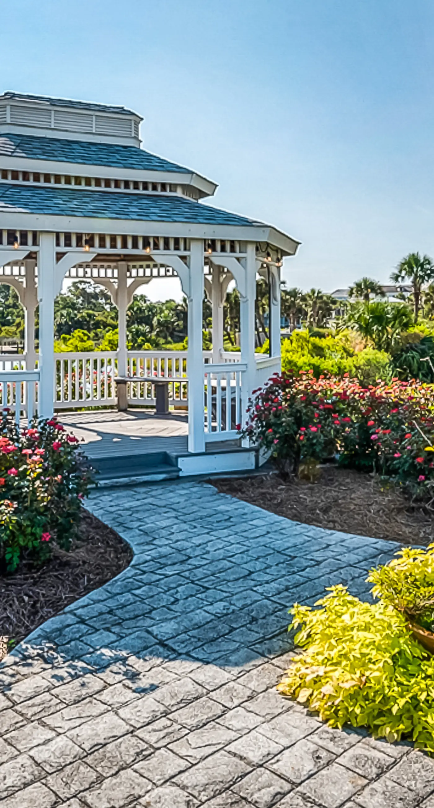 Beautiful beachfront condo with shared pool and beach access