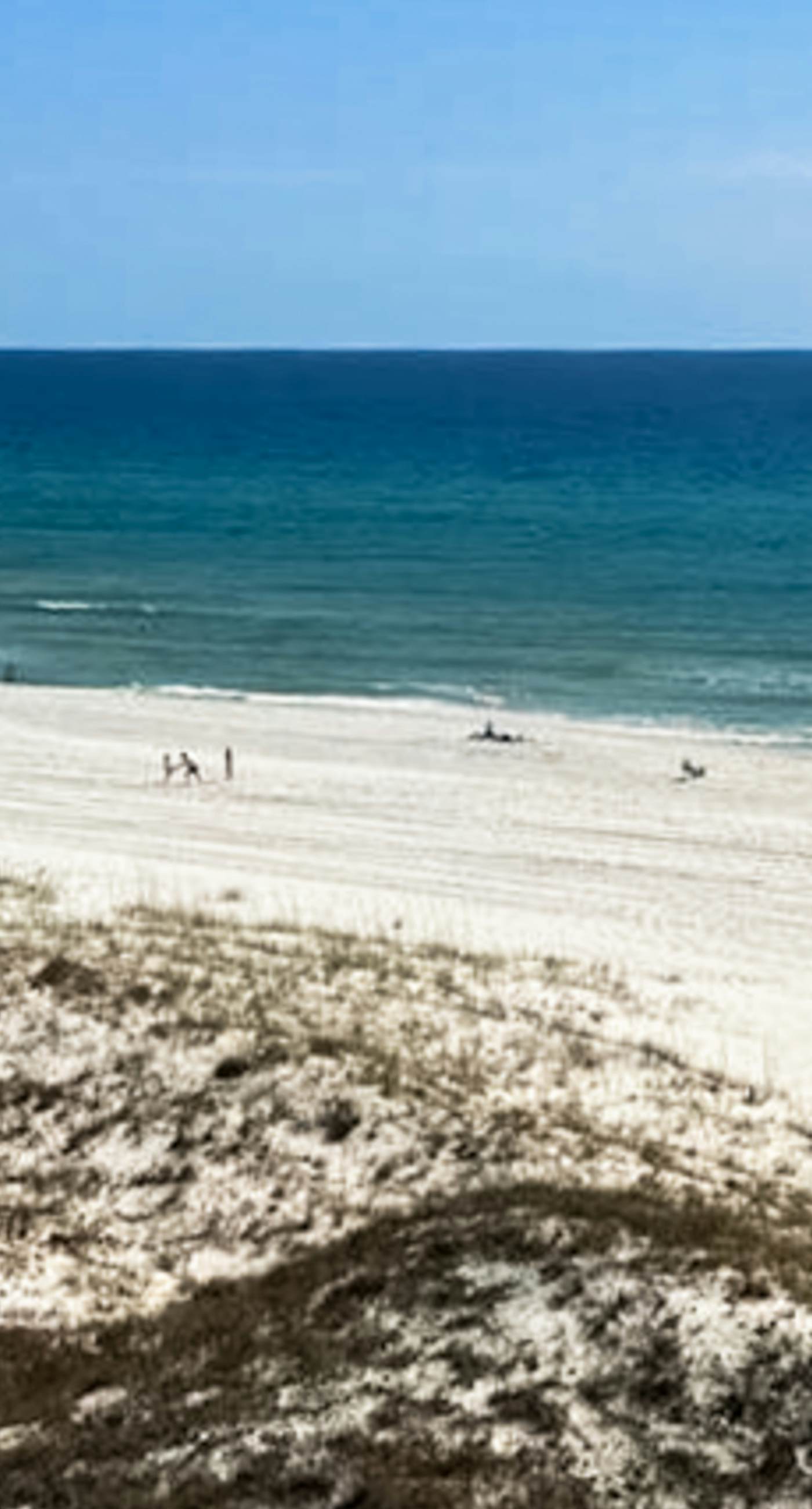 Gorgeous beachfront condo, shared pool and beach access