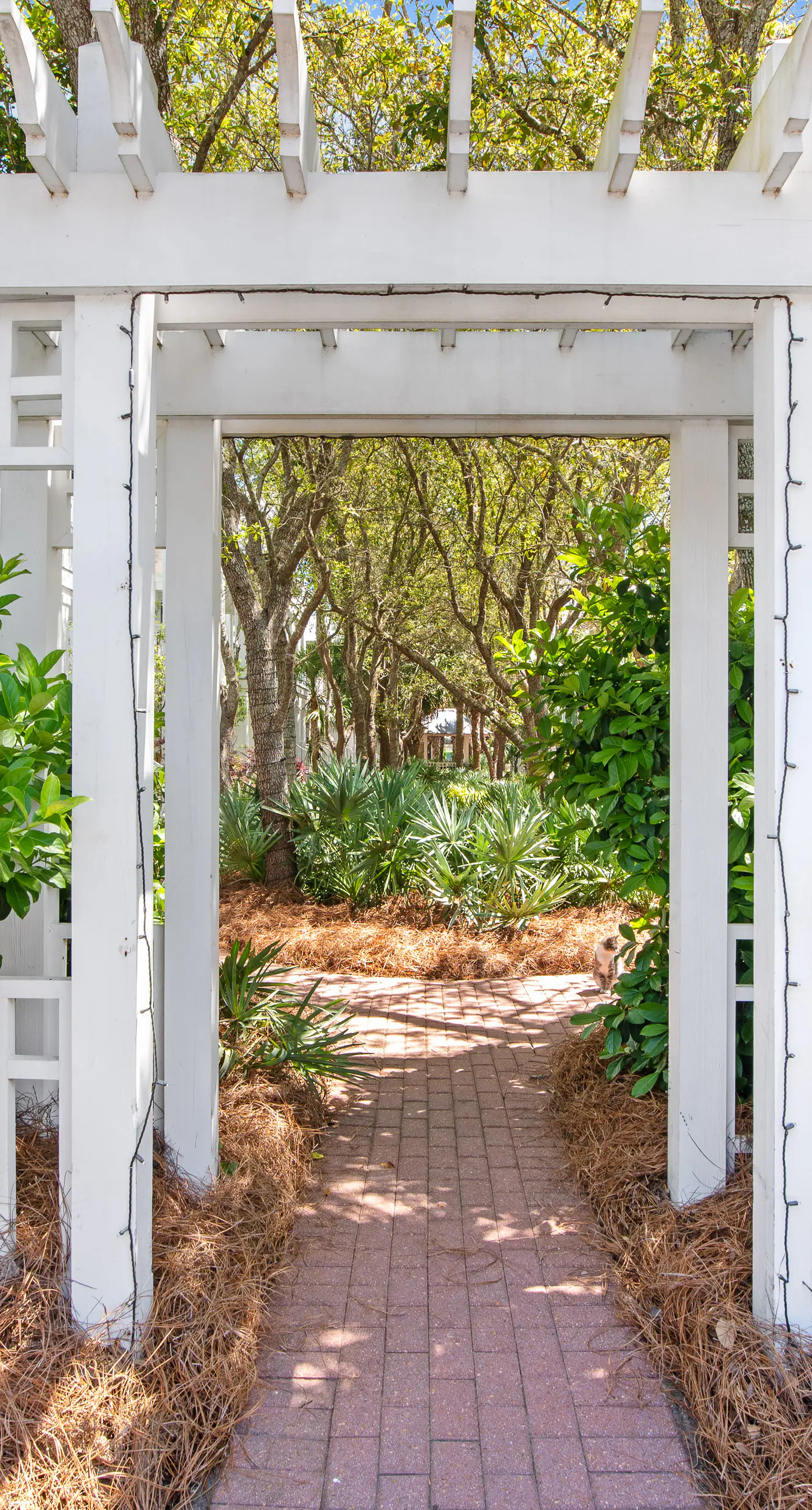 Beautiful, dog-friendly home with shared pools & complimentary beach chairs