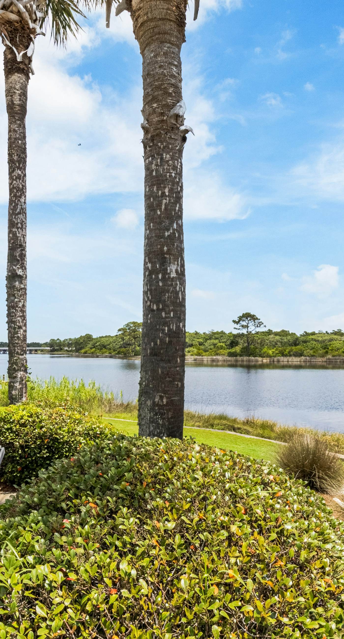 Spectacular beachfront condo with great amenities, shared pool & beach access