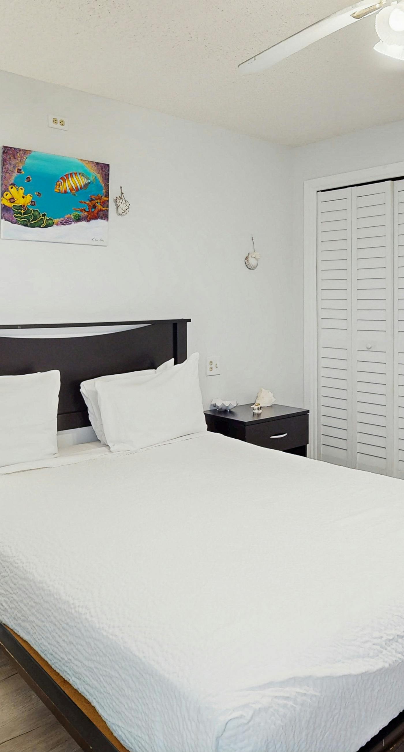 Snowbird-friendly studio with boat dock, beach access & pool