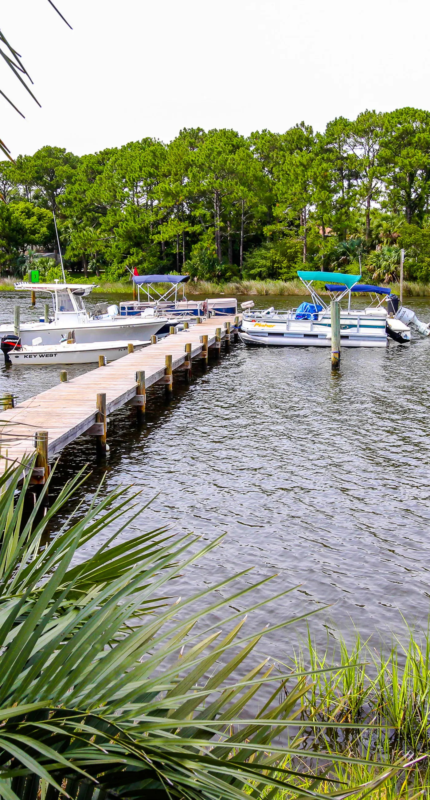 Snowbird-friendly studio with boat dock, beach access & pool